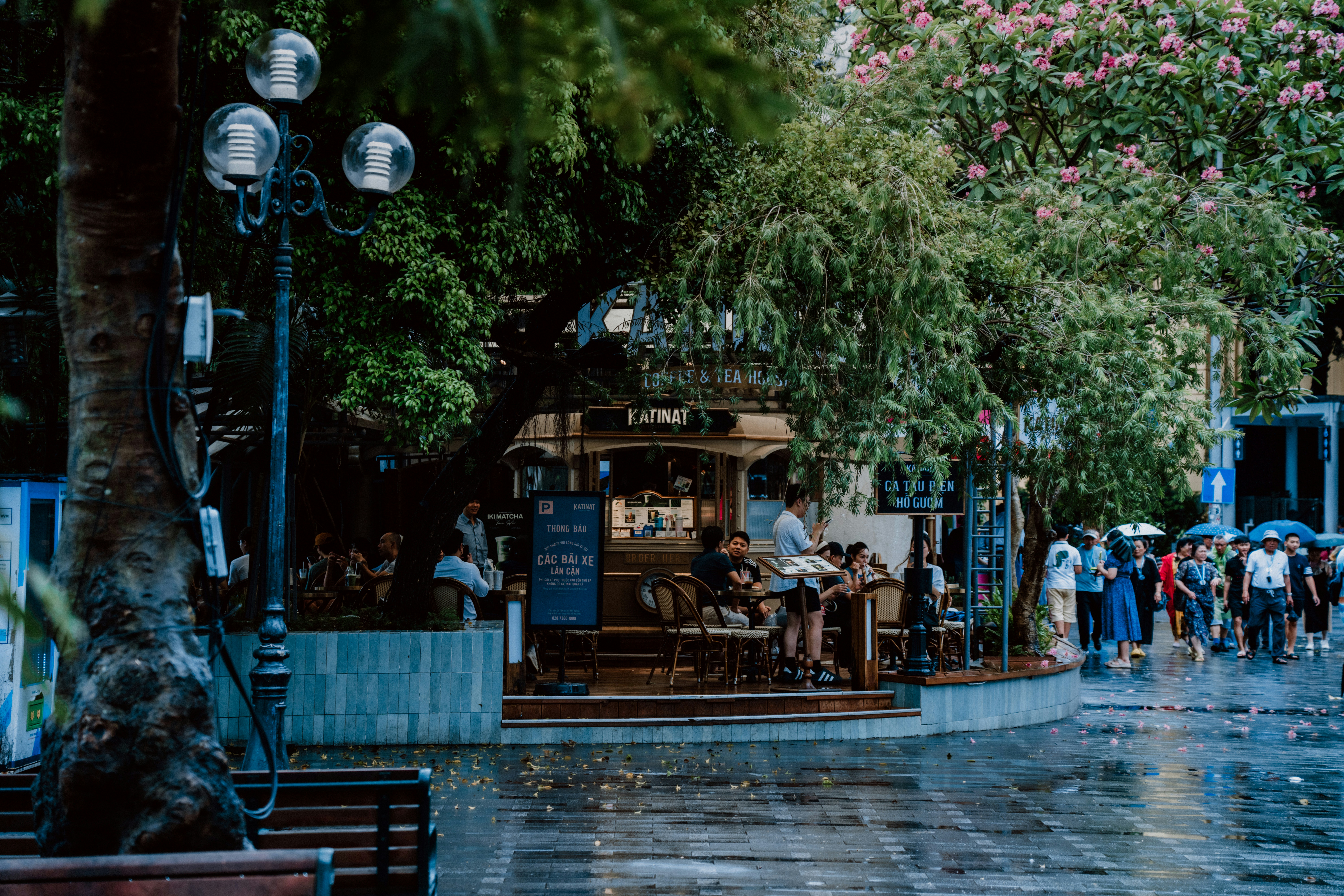 Photo by ambaticherry