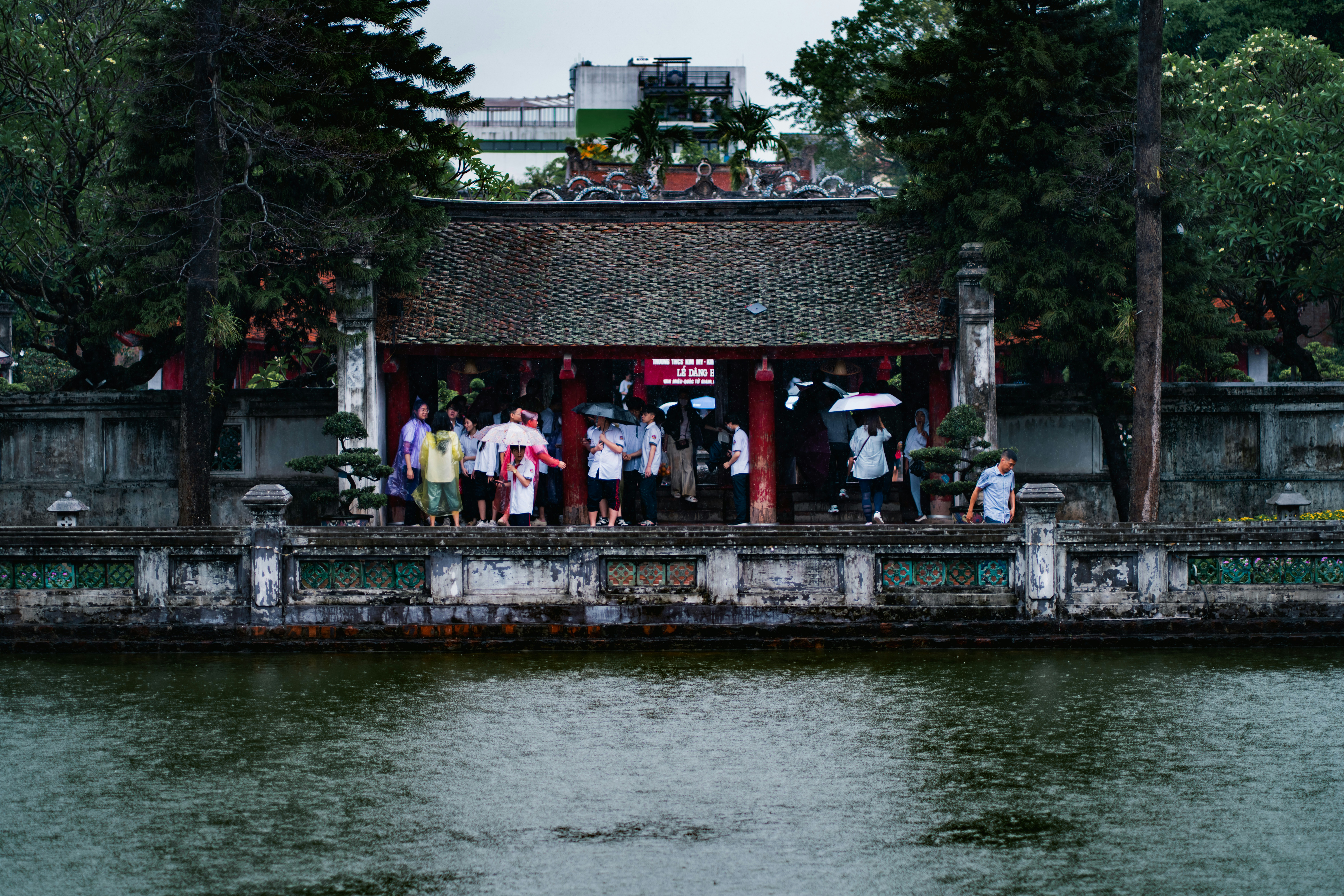 Photo by ambaticherry