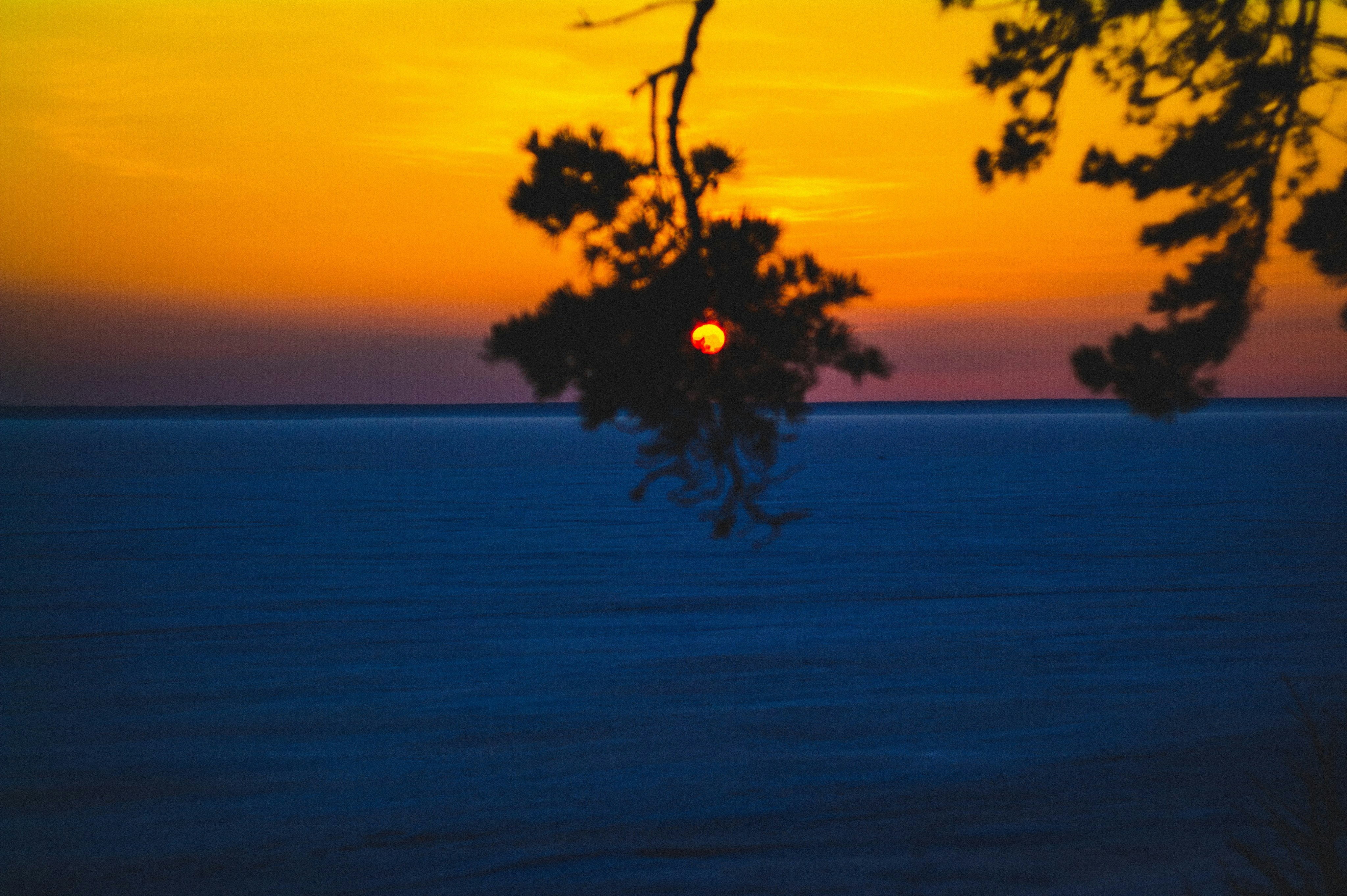 Photo by denmirov
