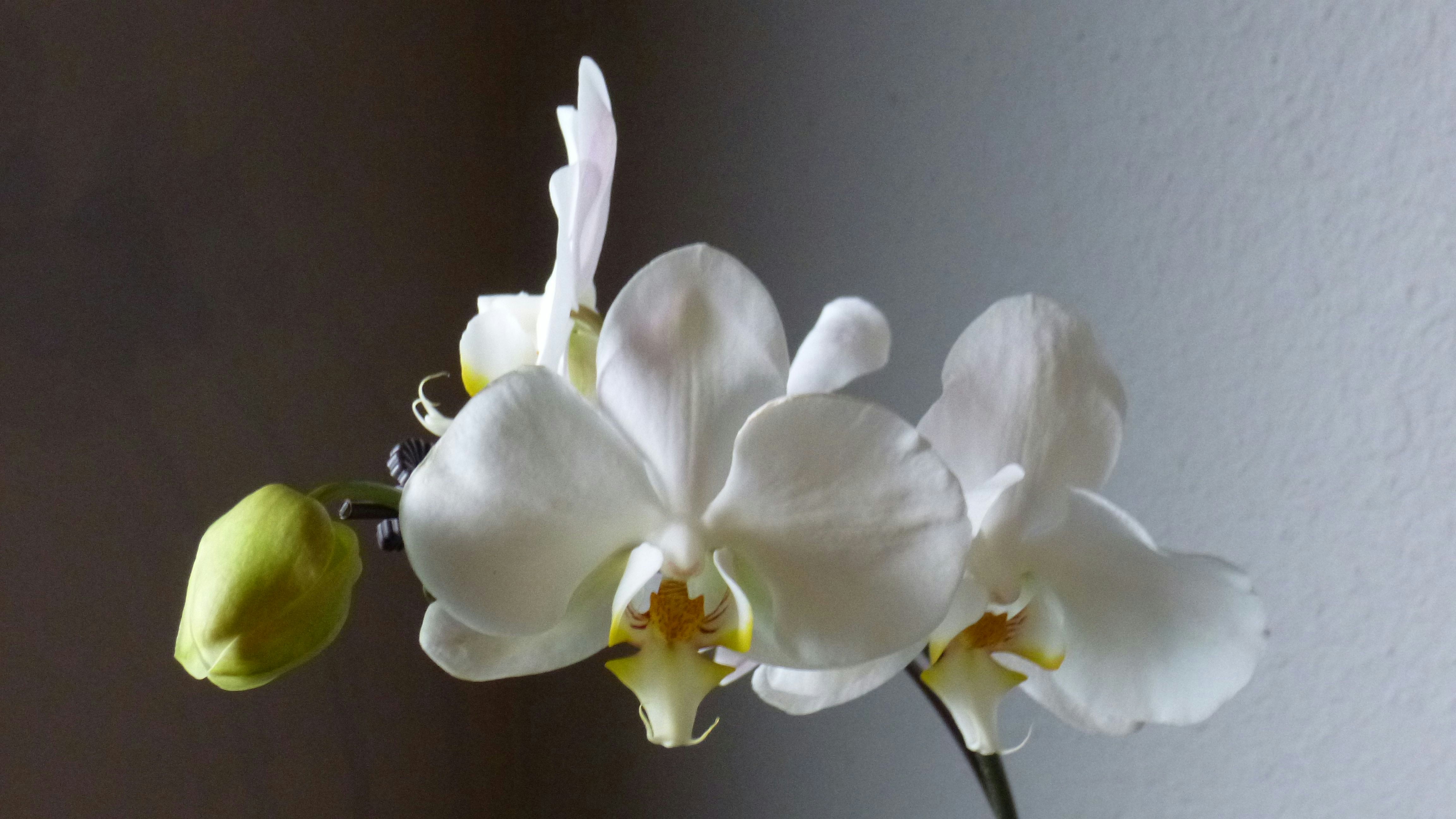 Photo by deniselynn_4