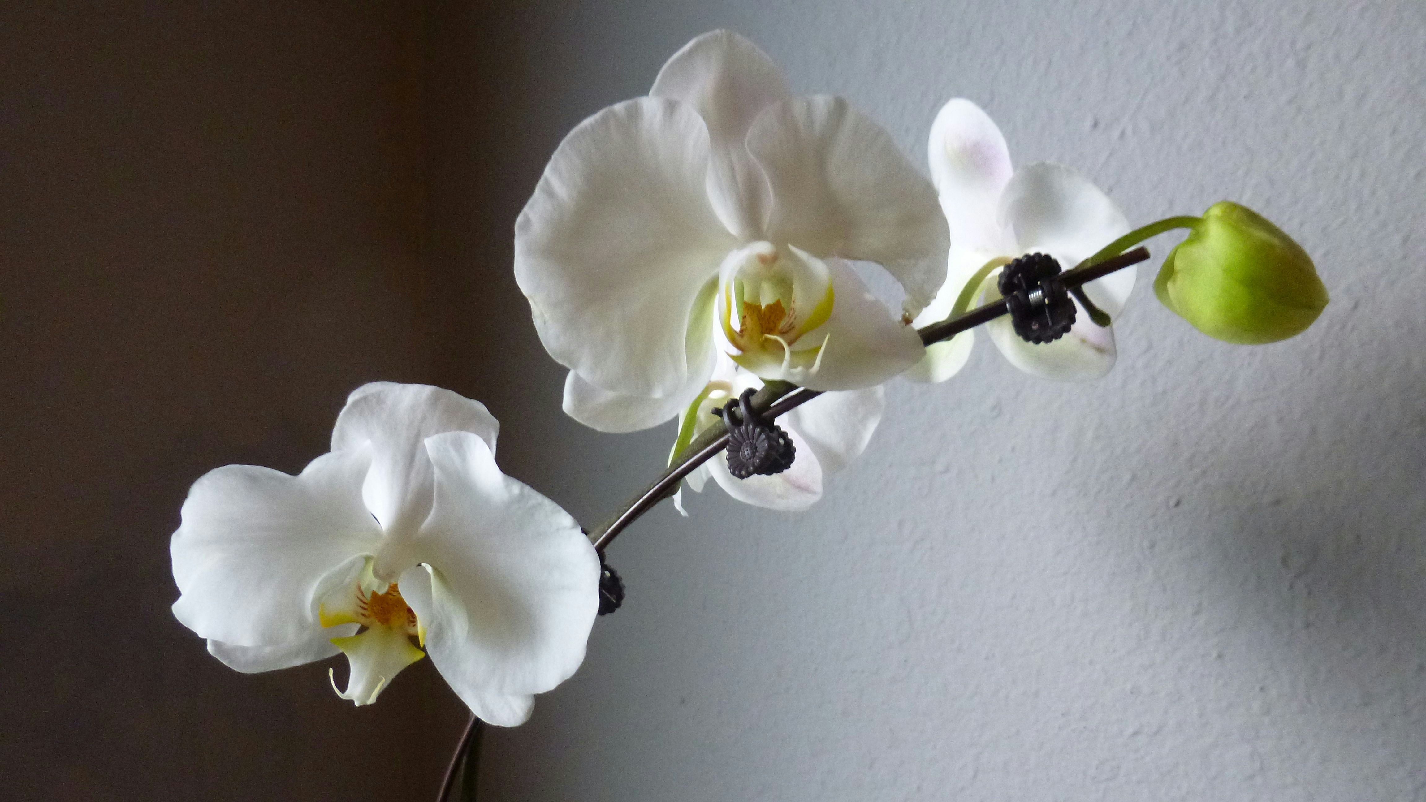 Photo by deniselynn_4