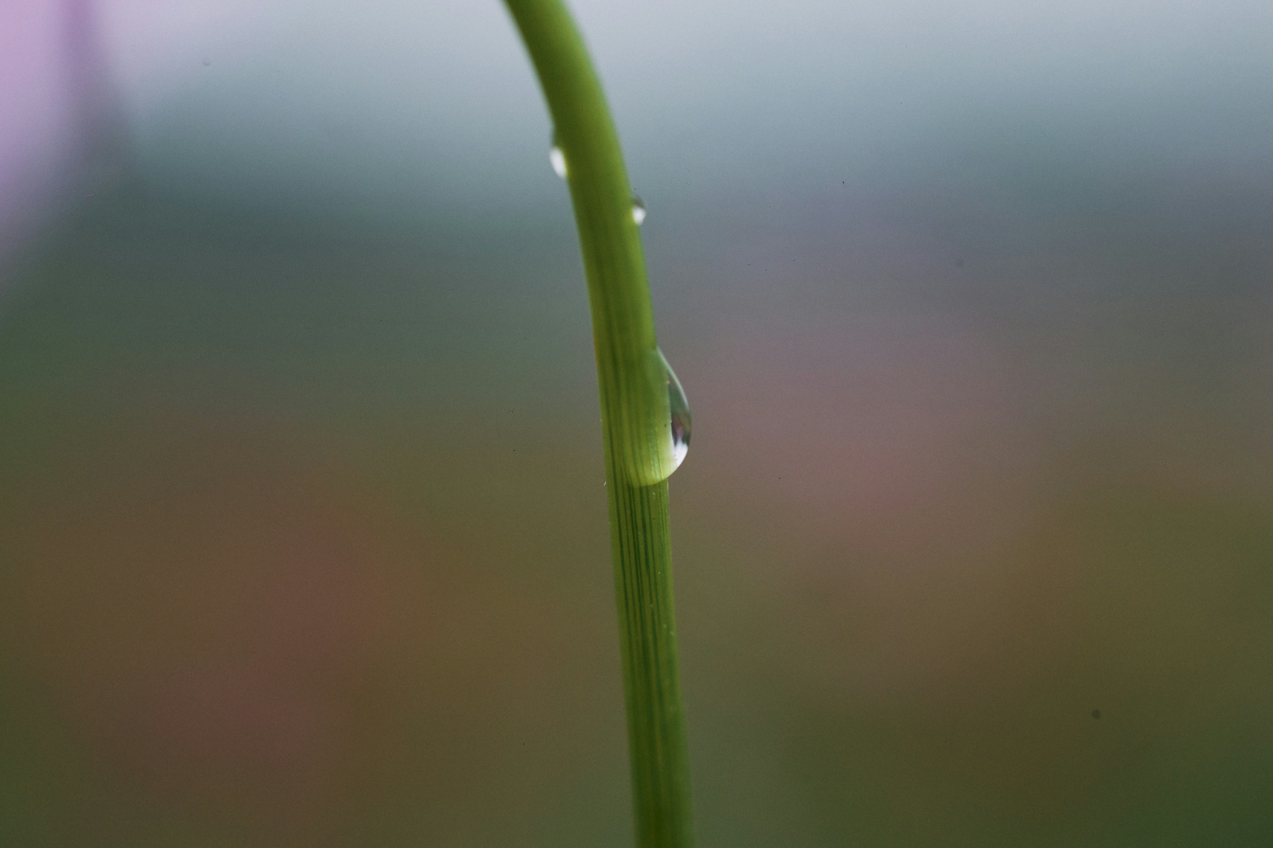 Photo by tsuyoshikozu