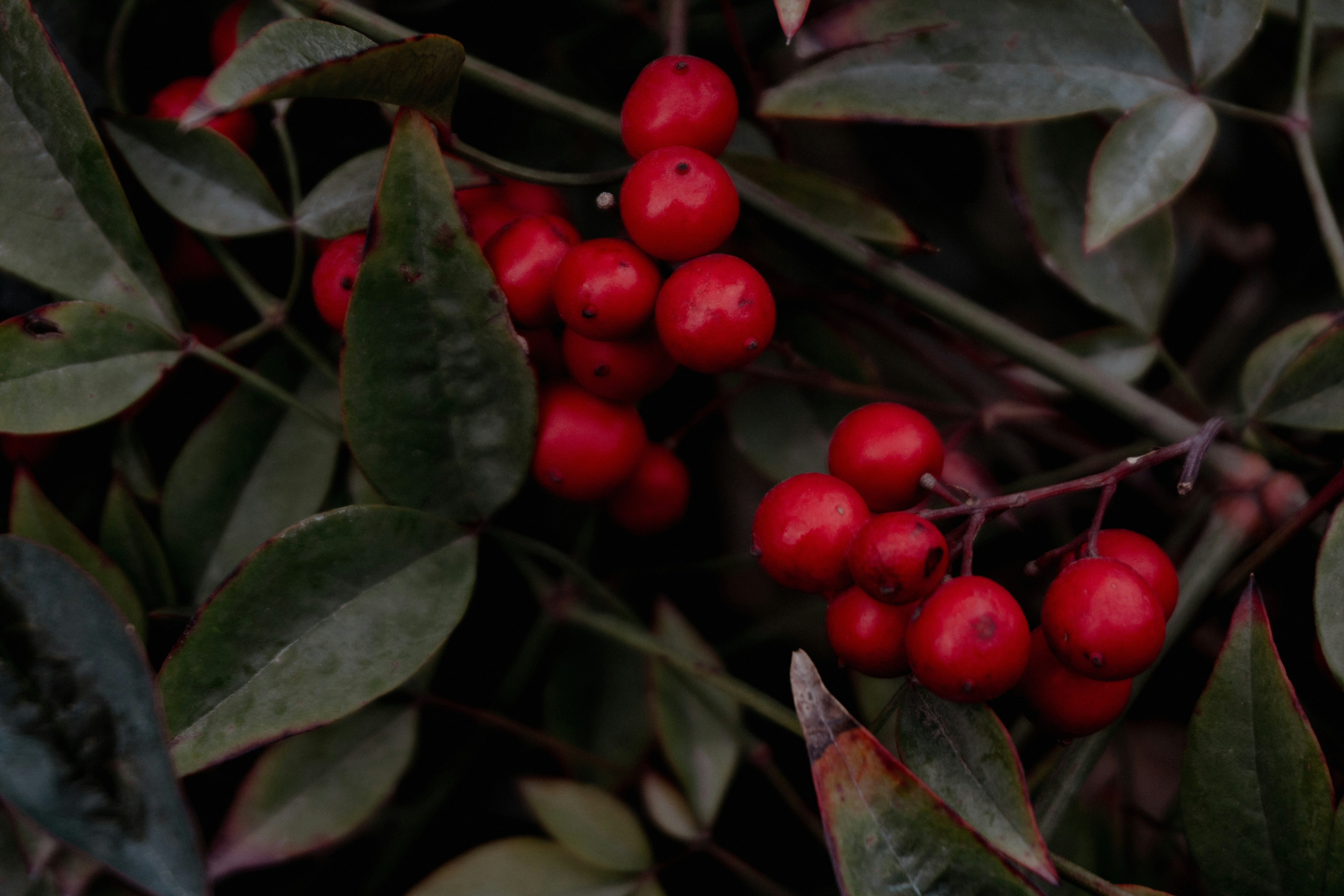 Photo by onurcanelma