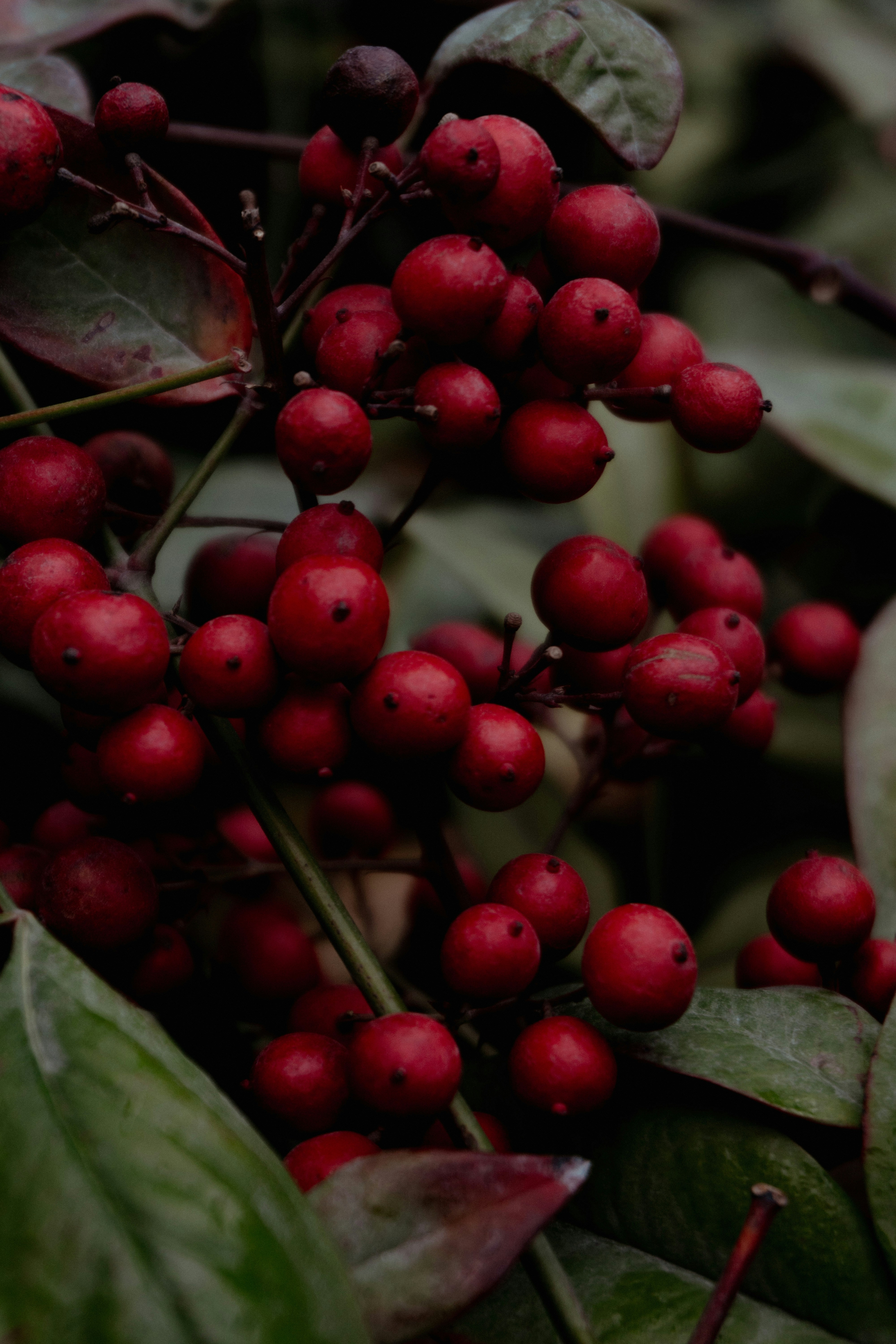 Photo by onurcanelma