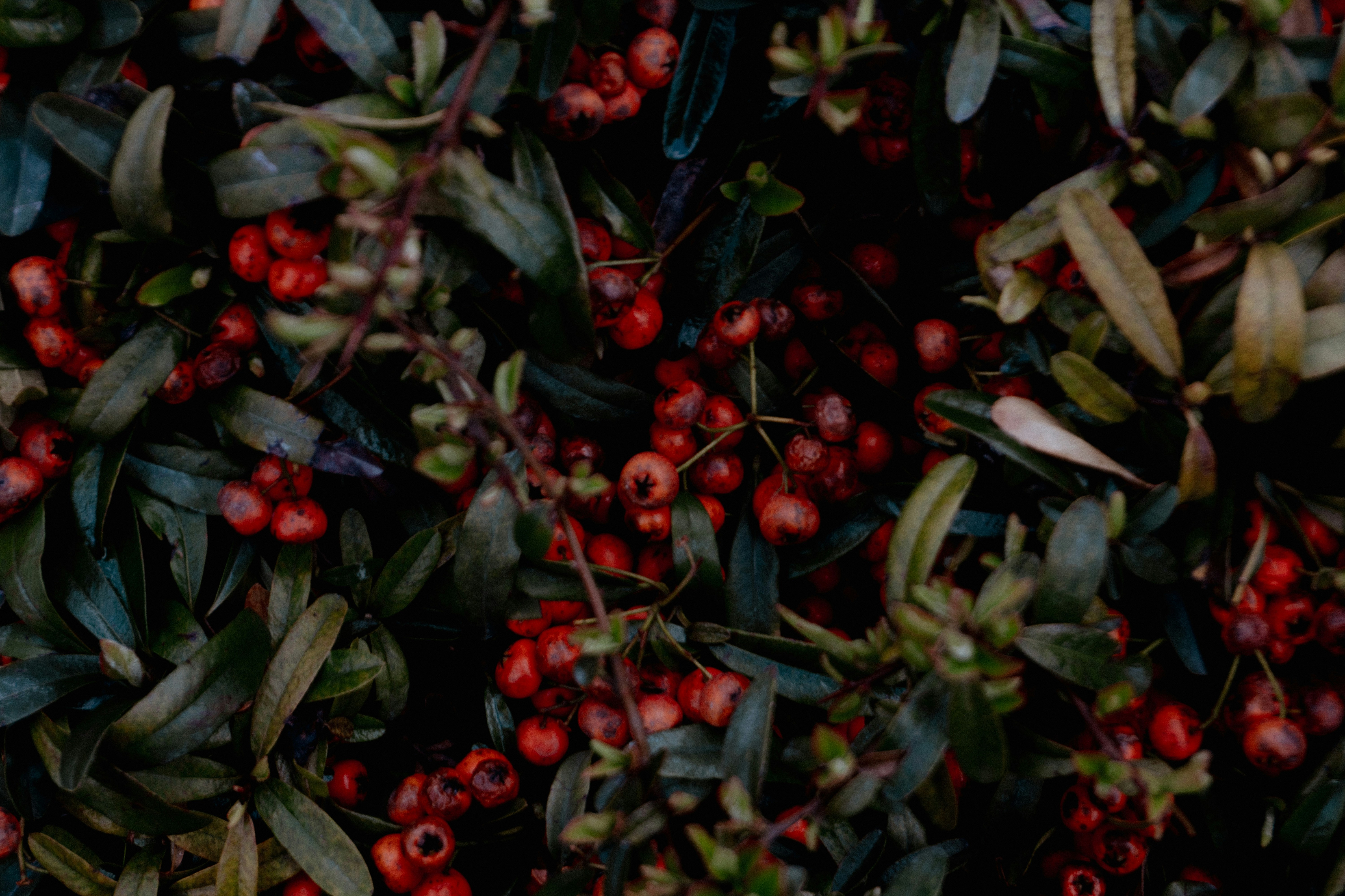 Photo by onurcanelma