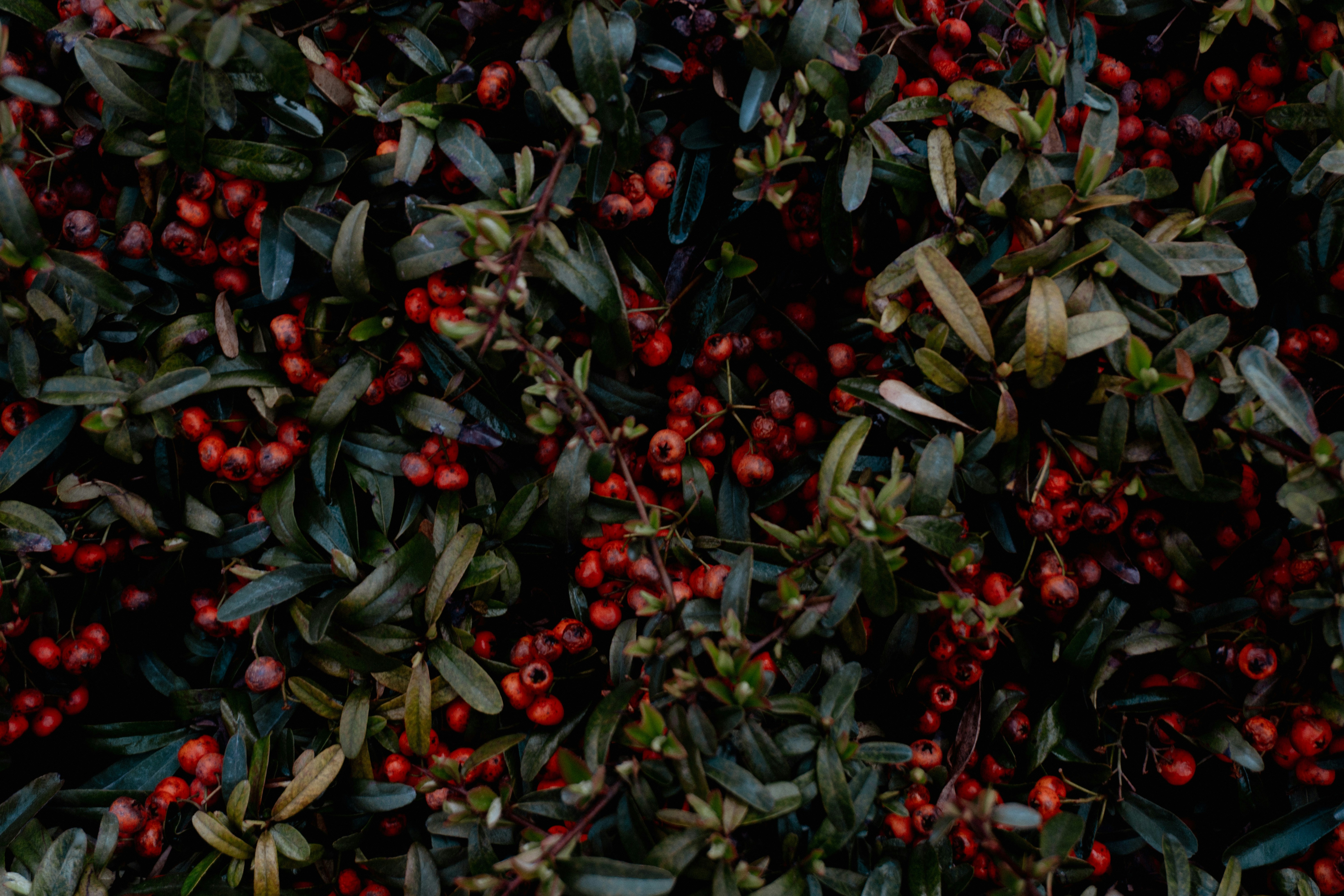 Photo by onurcanelma