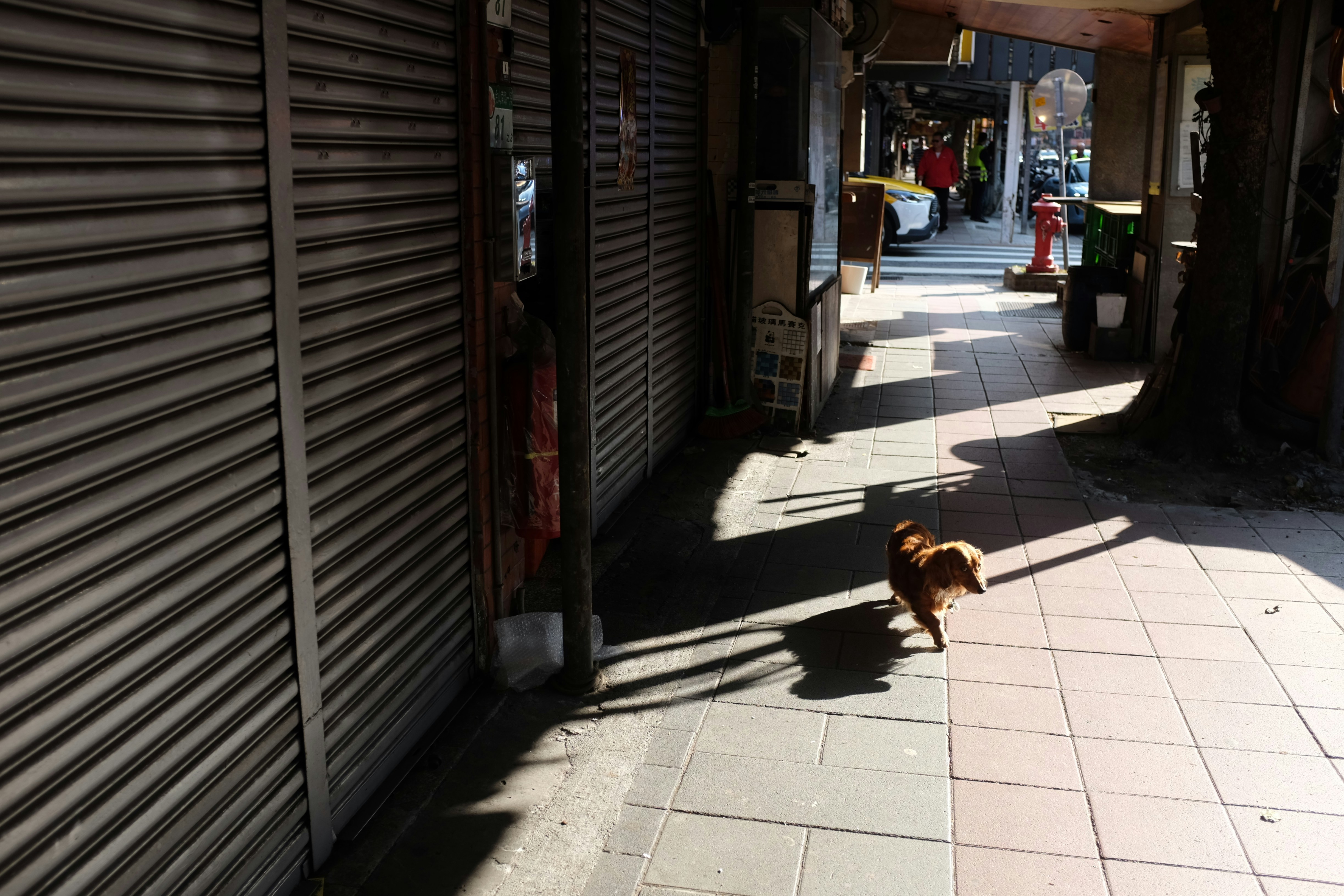 Photo by mclee