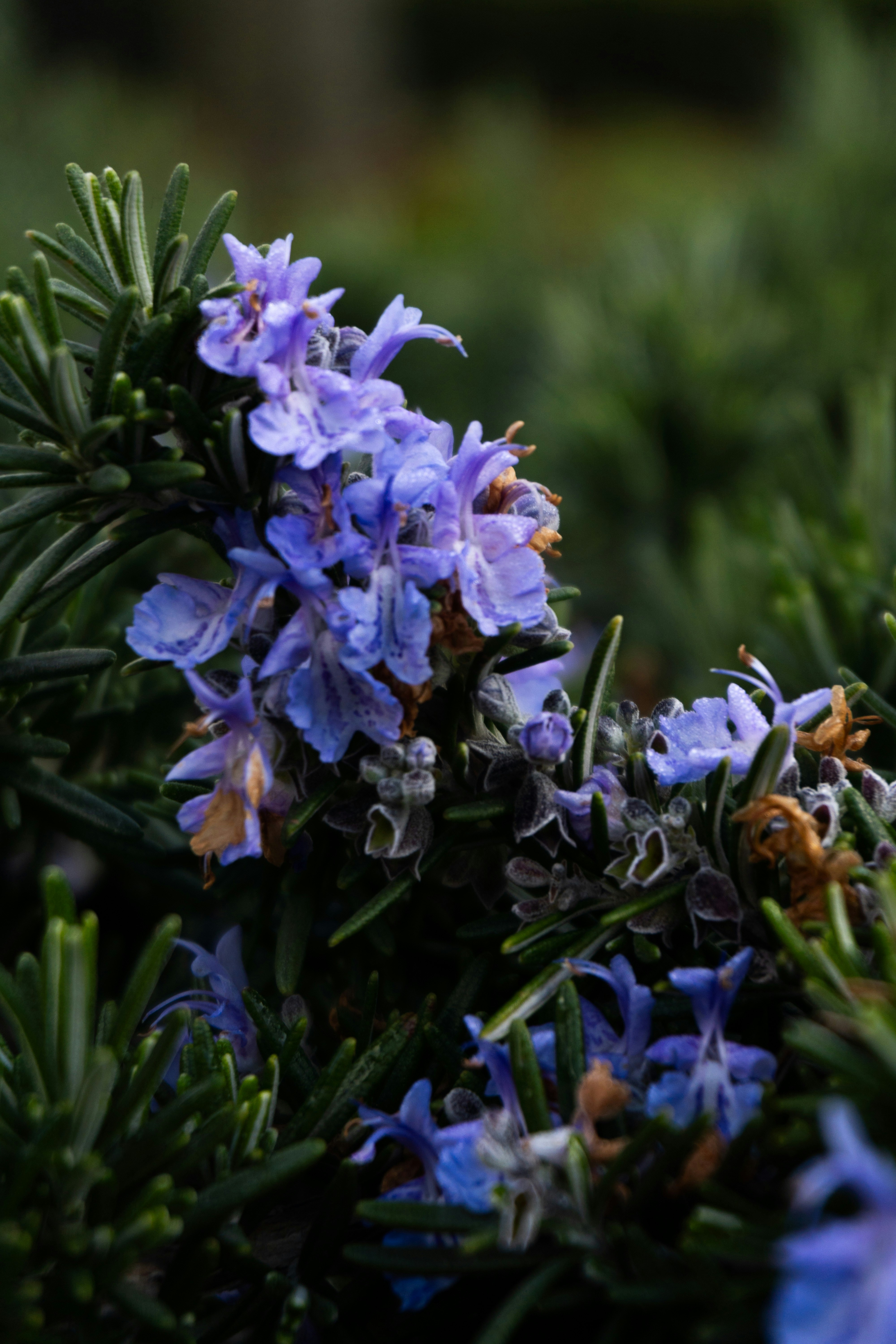 Photo by onurcanelma