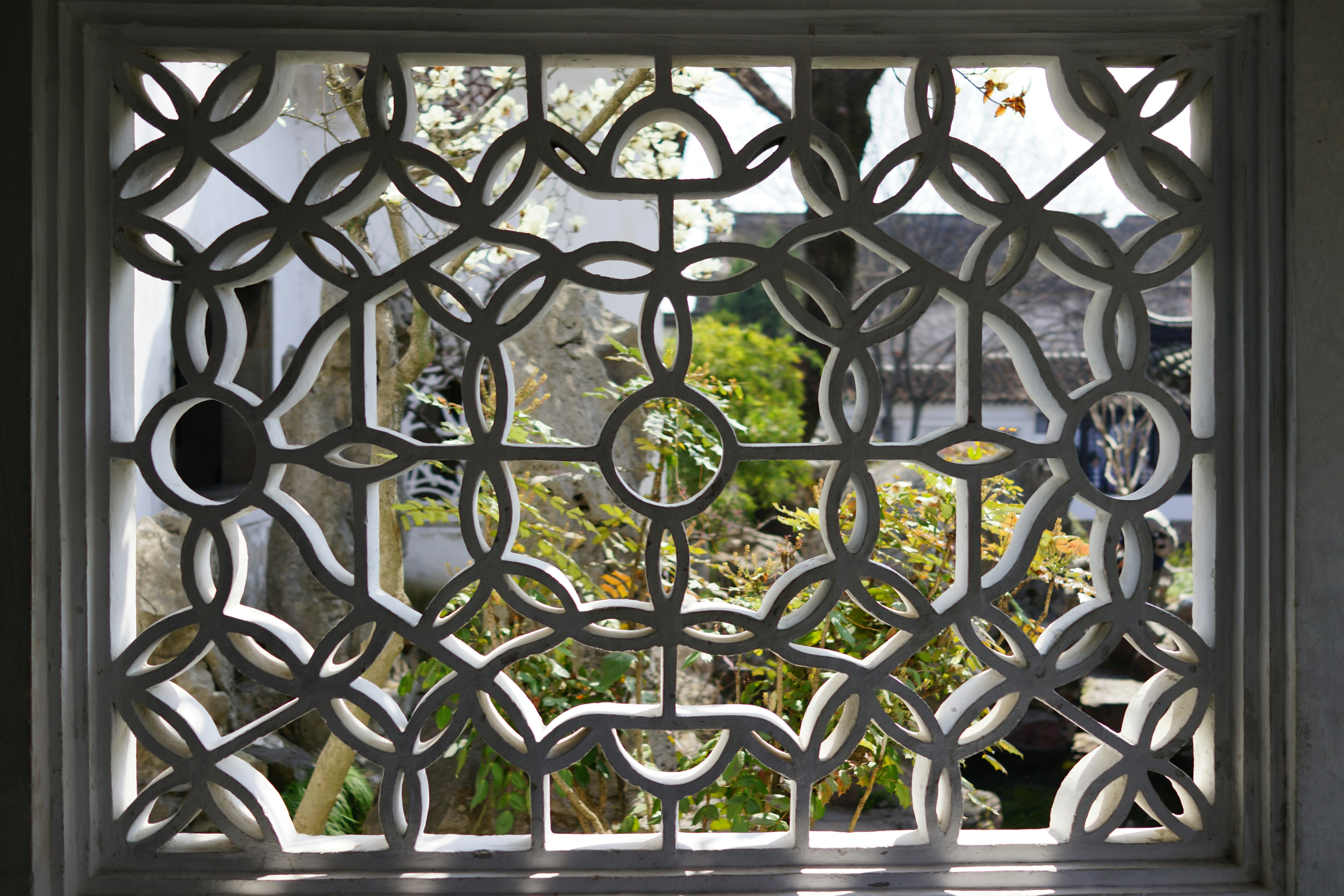 Photo by theia_smoke