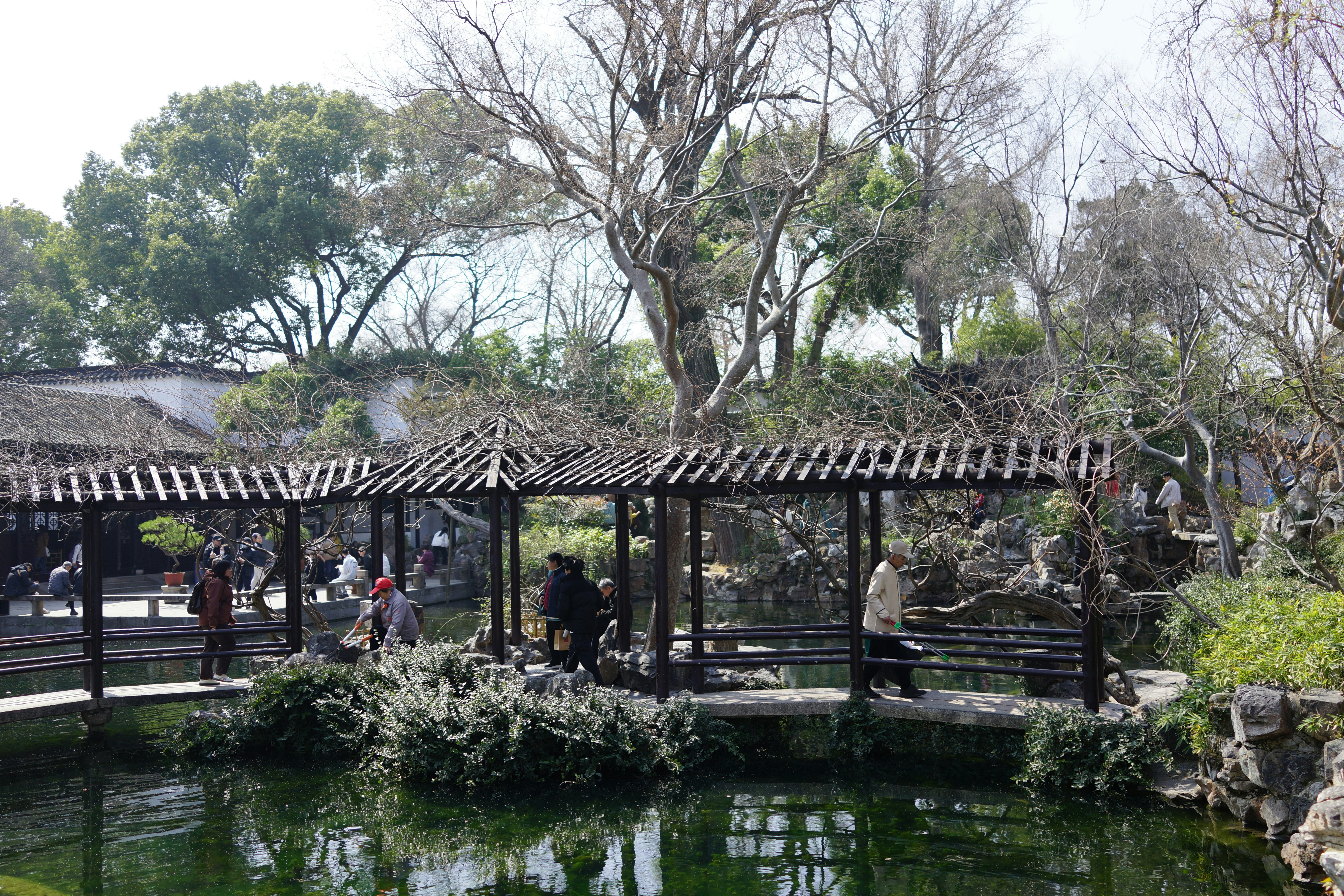 Photo by theia_smoke