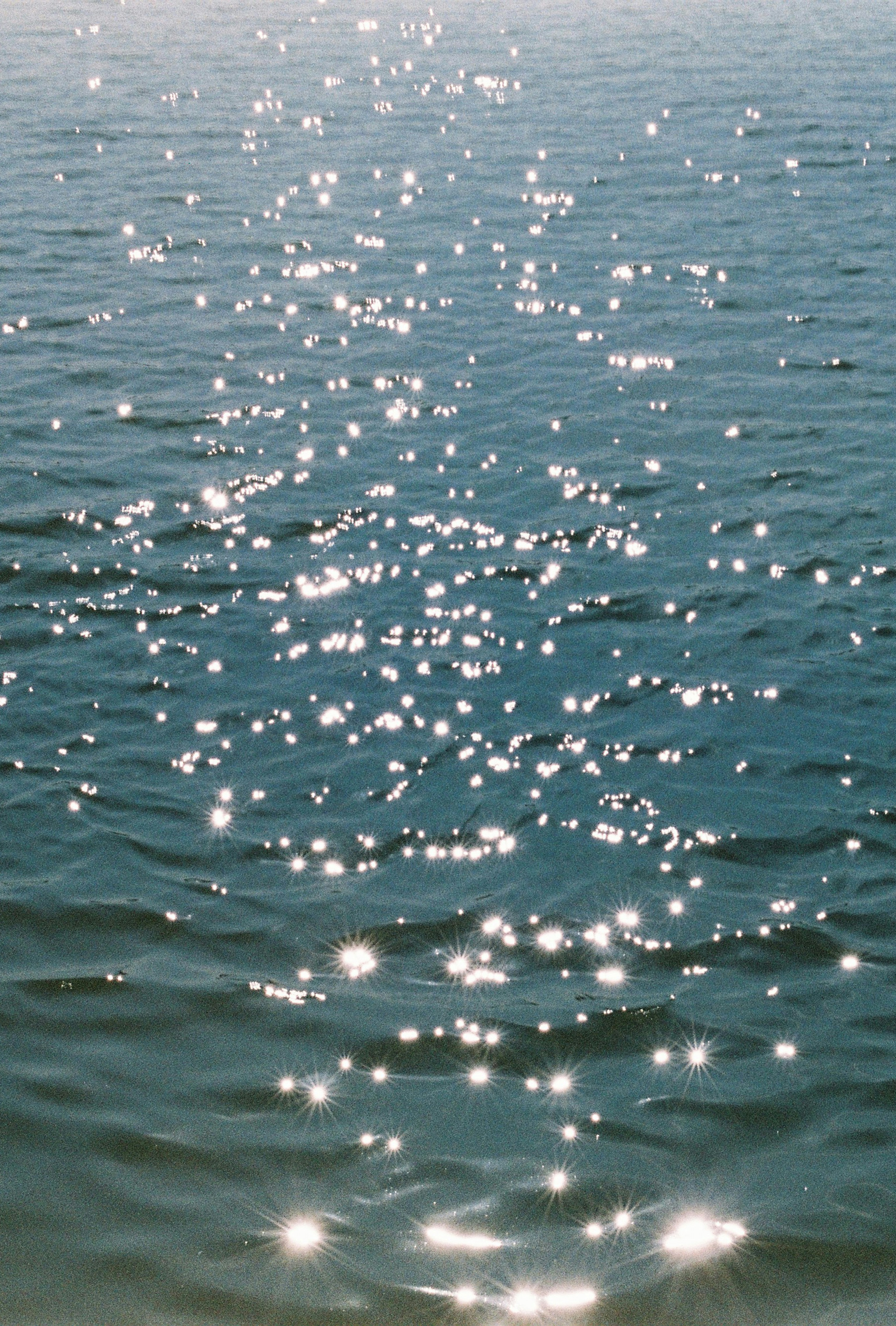 Photo by tuaans_
