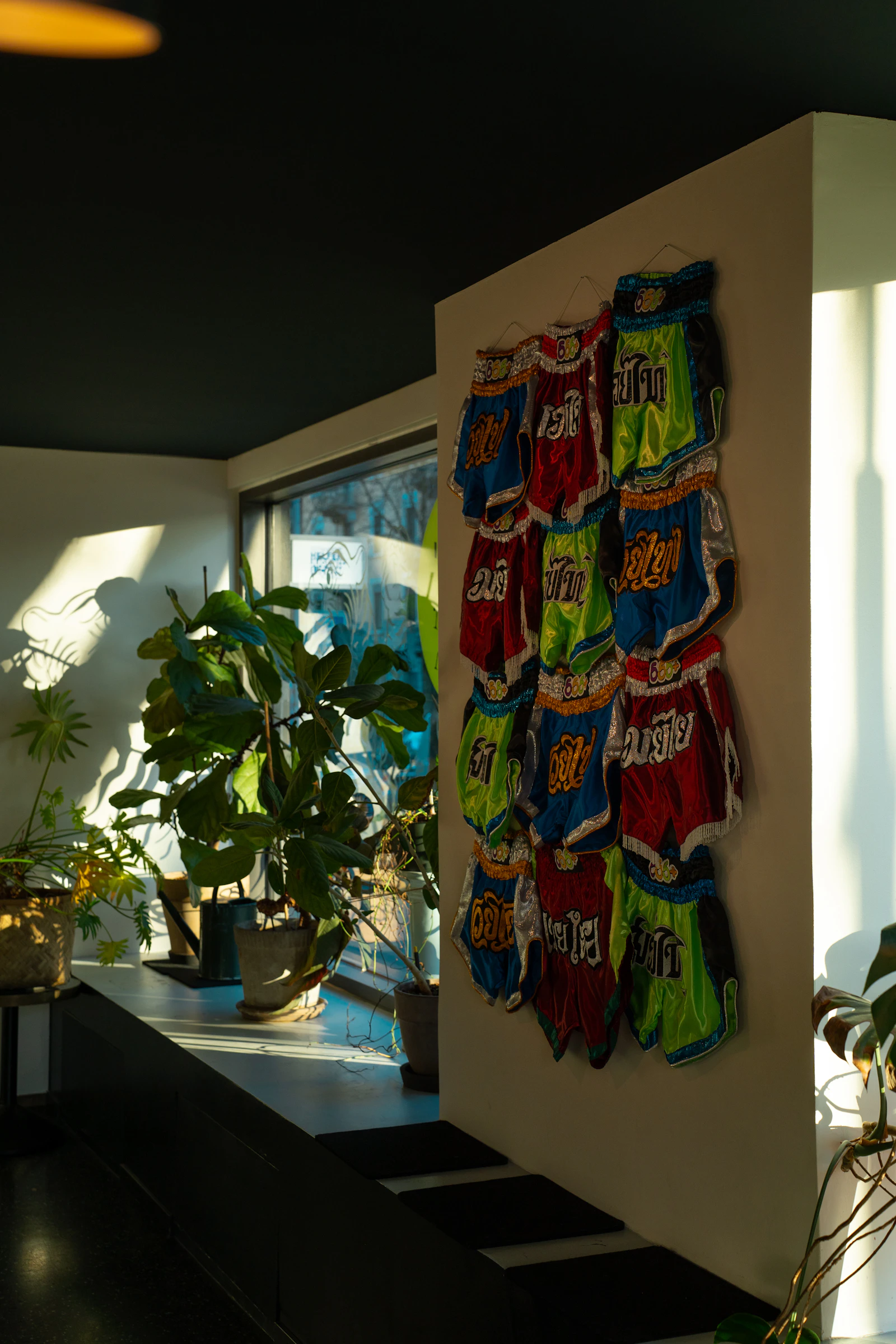 Colourful Muay Thai shorts displayed on a gym wall