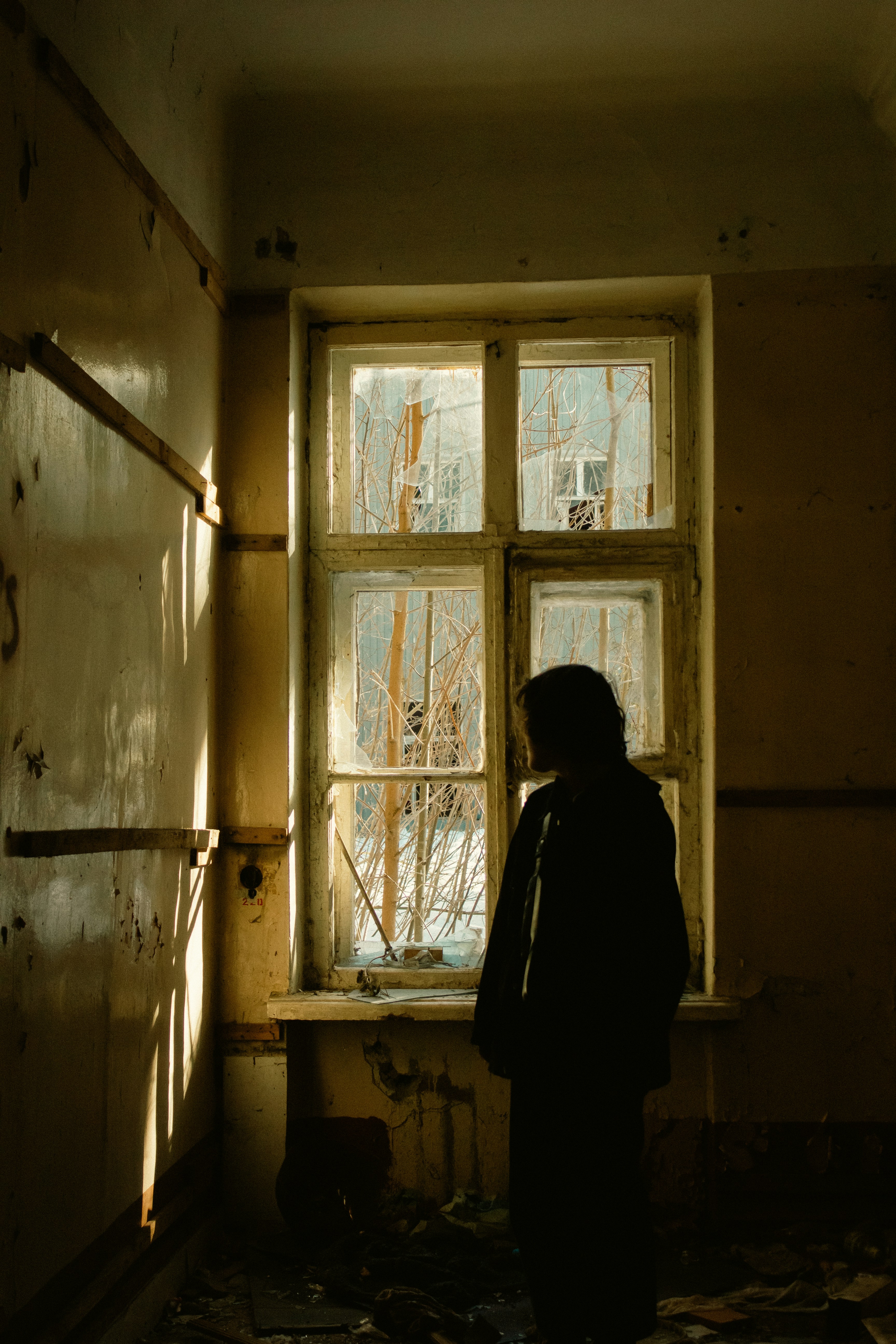 Photo by kumayuru