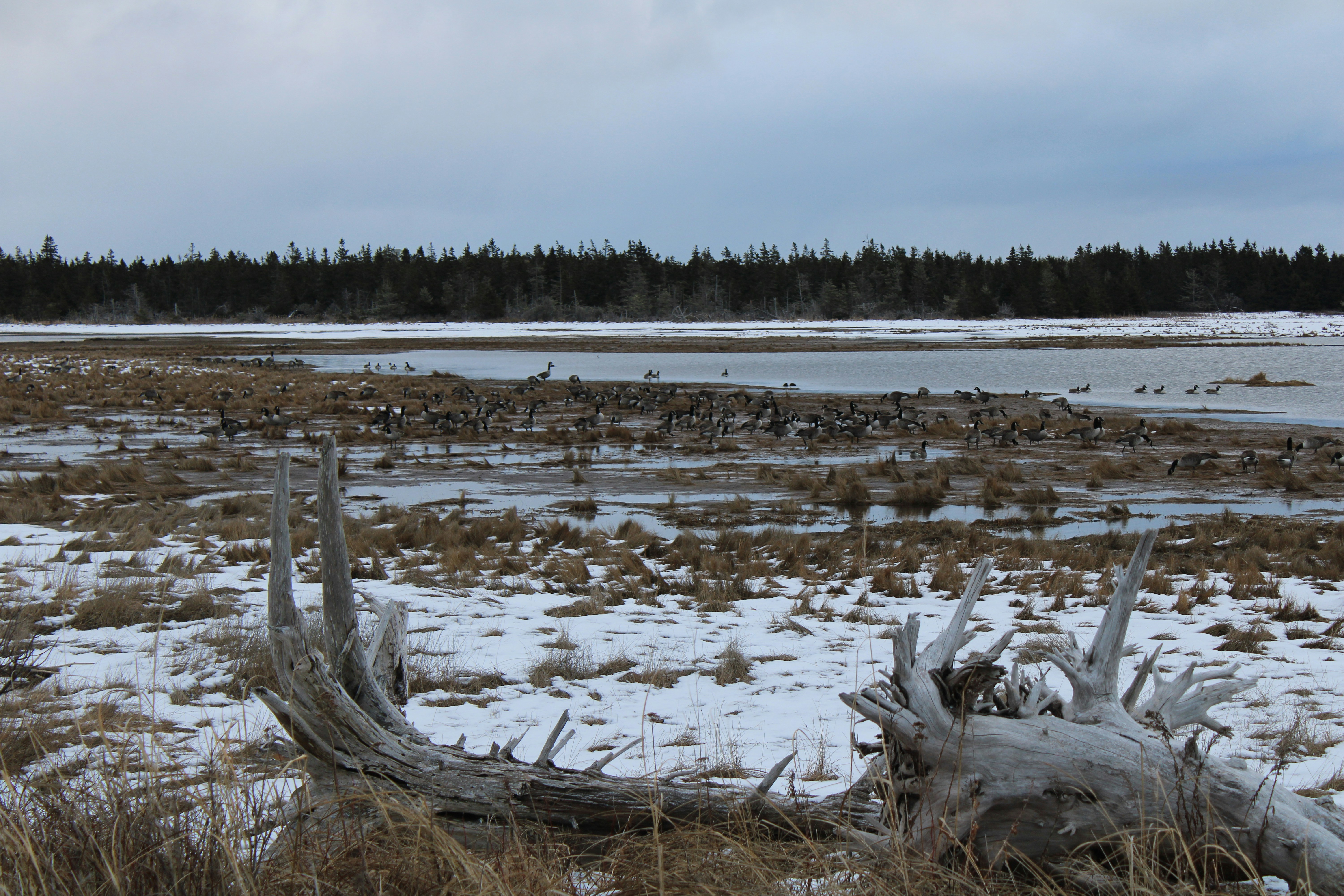 Photo by eastcoastsmc