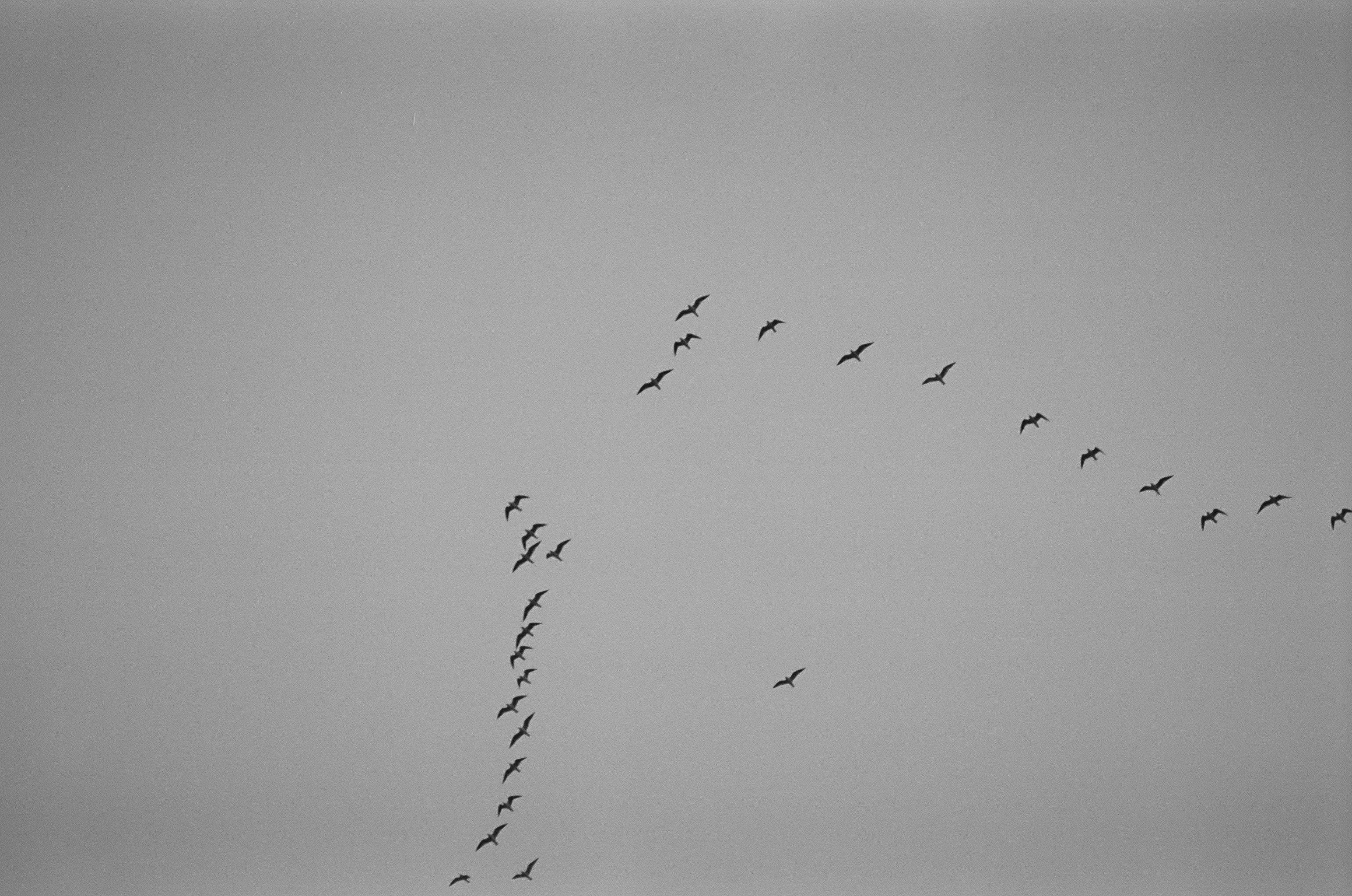Photo by wiatrolap