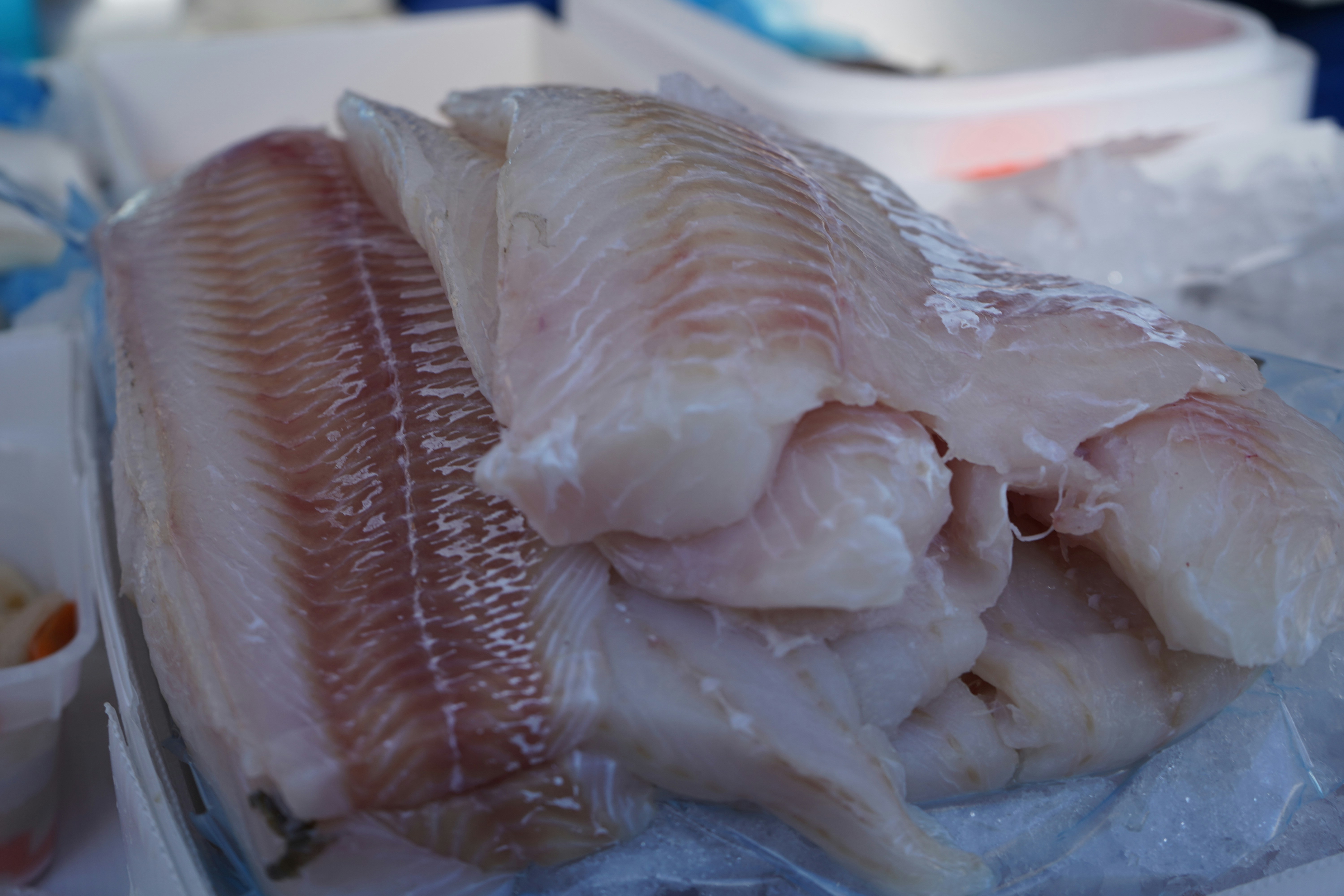 fresh fish fillets and high quality coconut milk - peixe com leite de coco