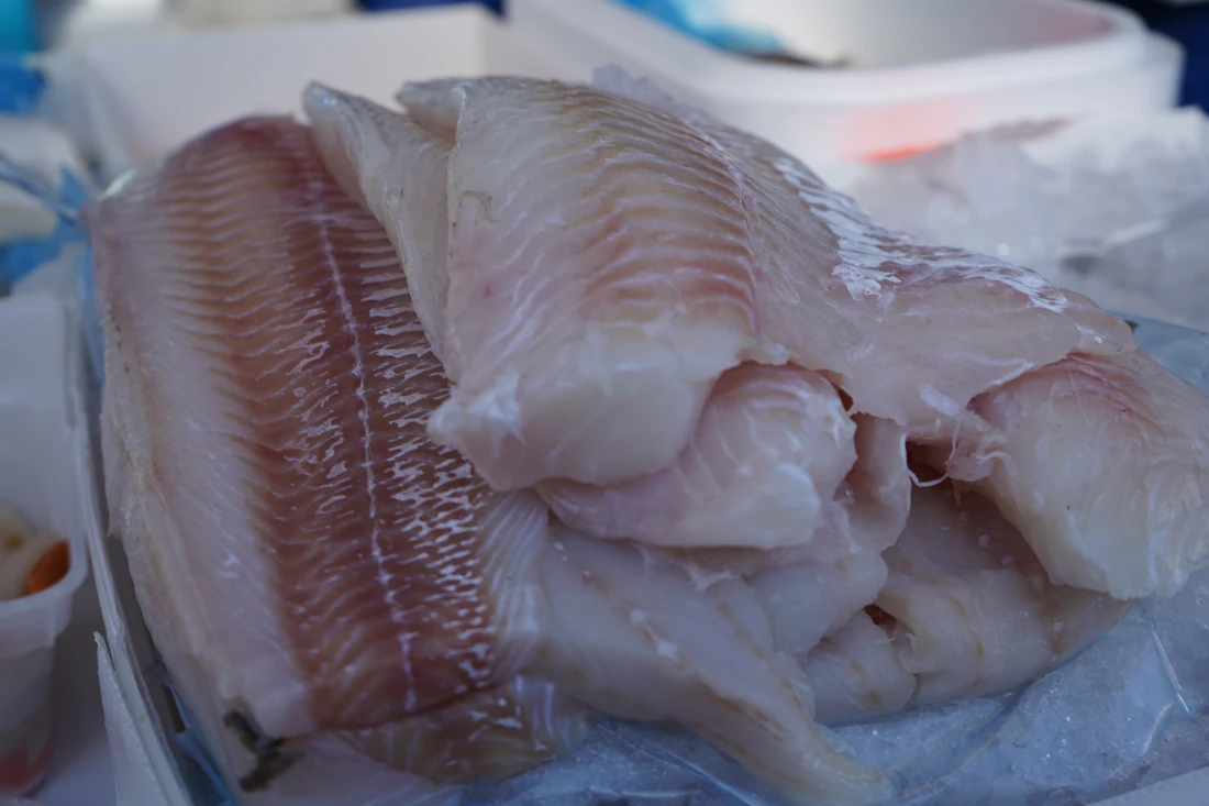 Fresh fish fillets