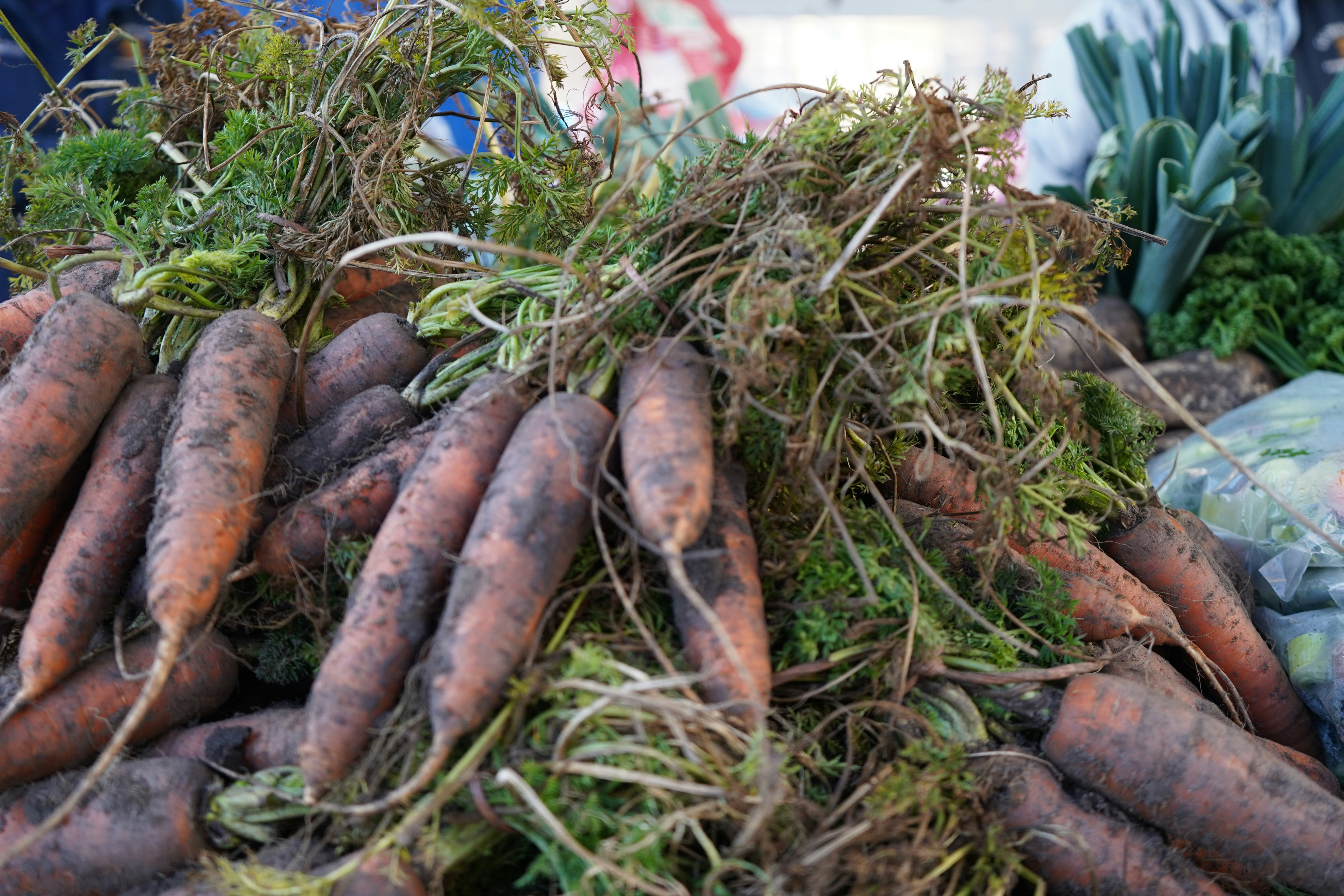 Photo by geoffreymoffett