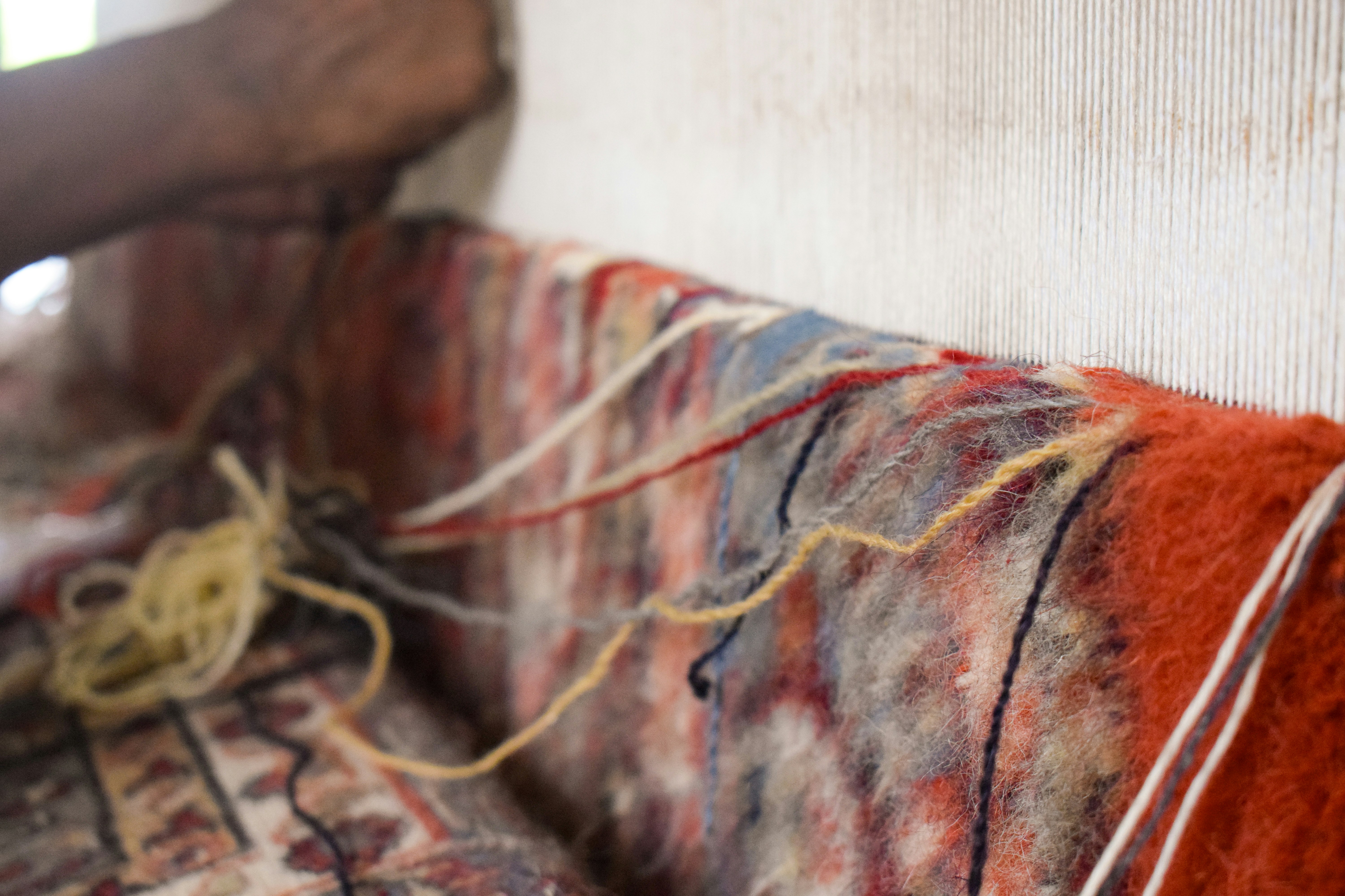 Photo by eshaverma2511