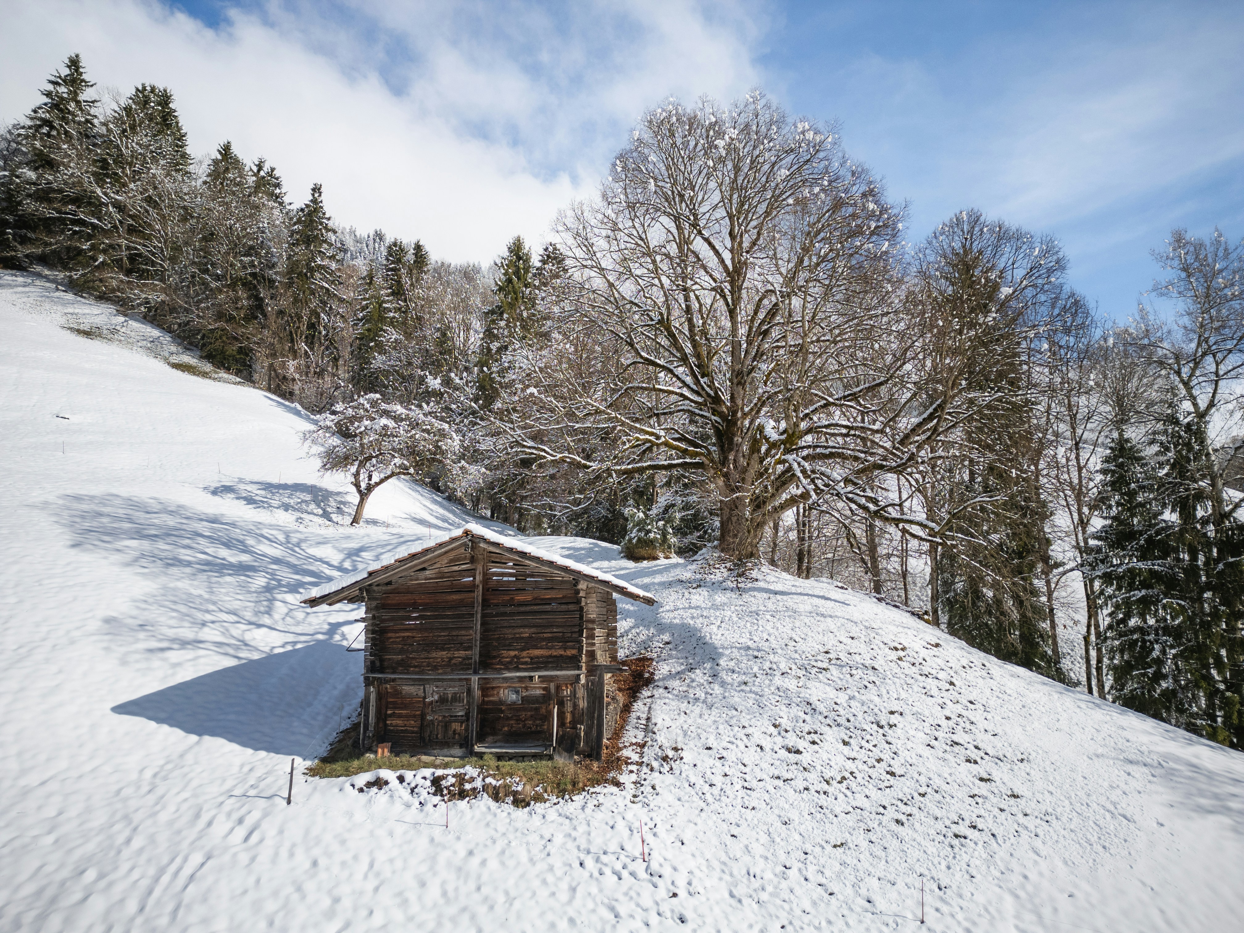 Wooden cabin nestled in a snowy, tree-lined hill.