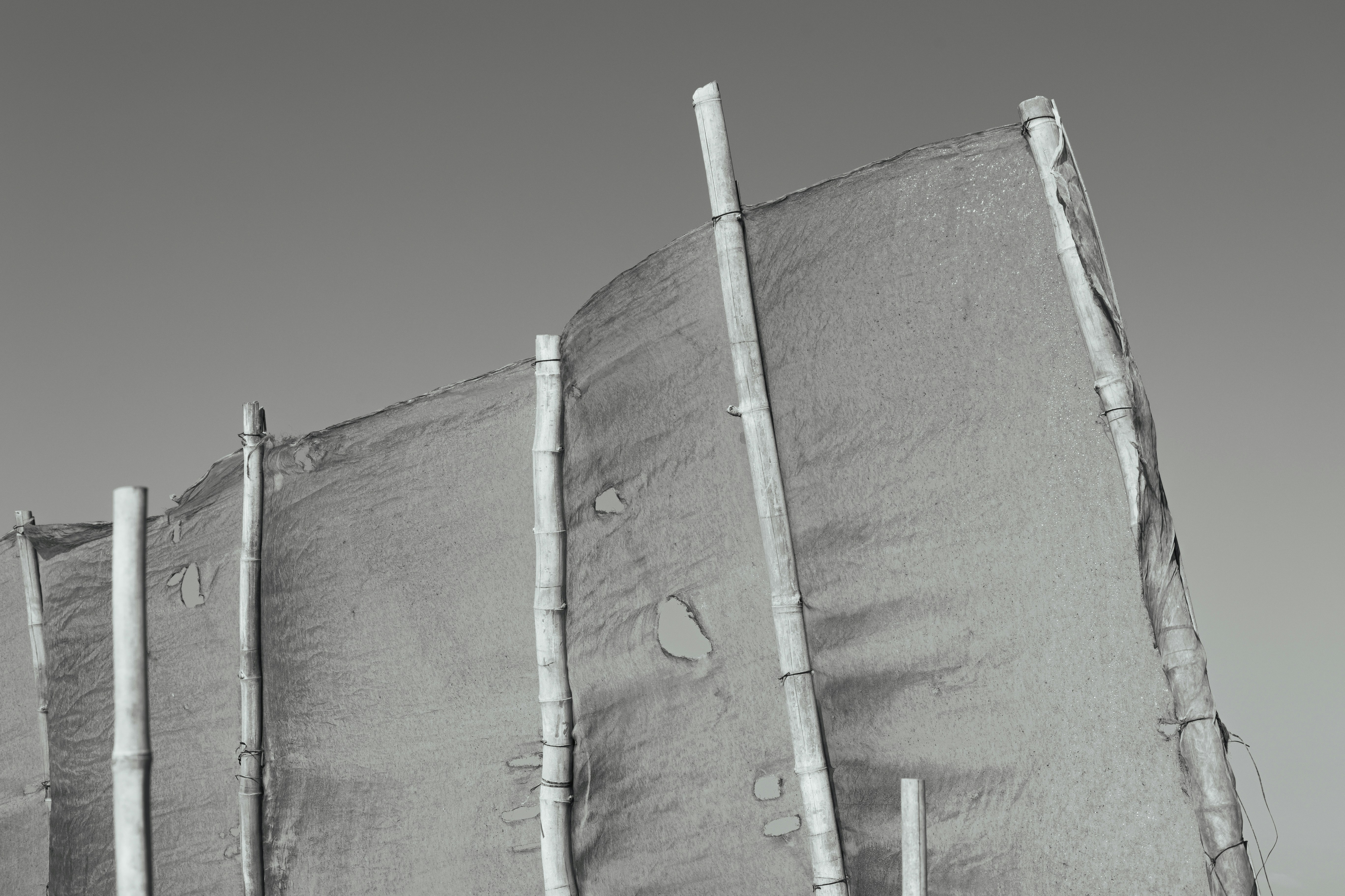 Photo by wu_hua_jiang