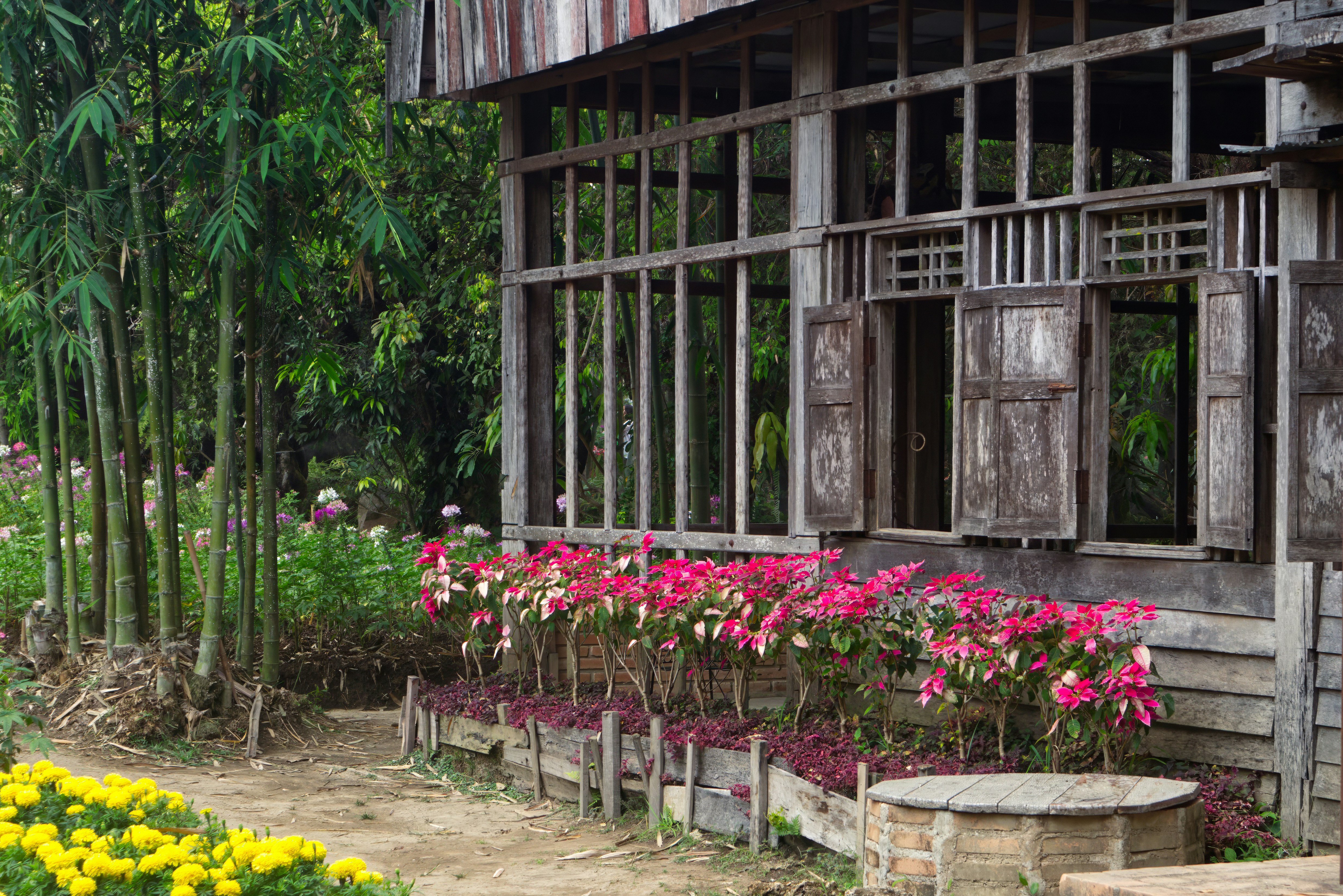 花と竹の植物がある木造の家
