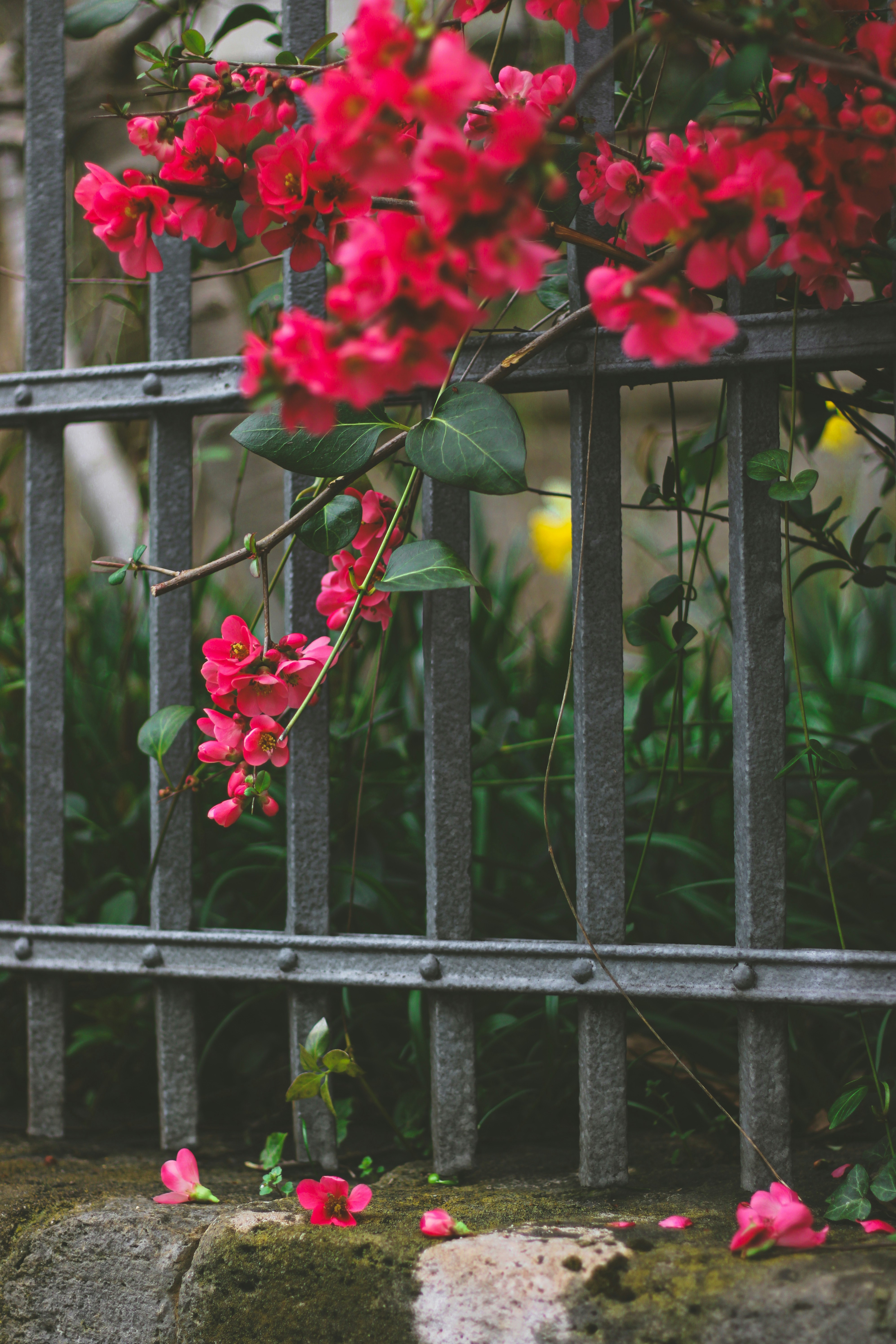 Photo by mohammad_ebesh