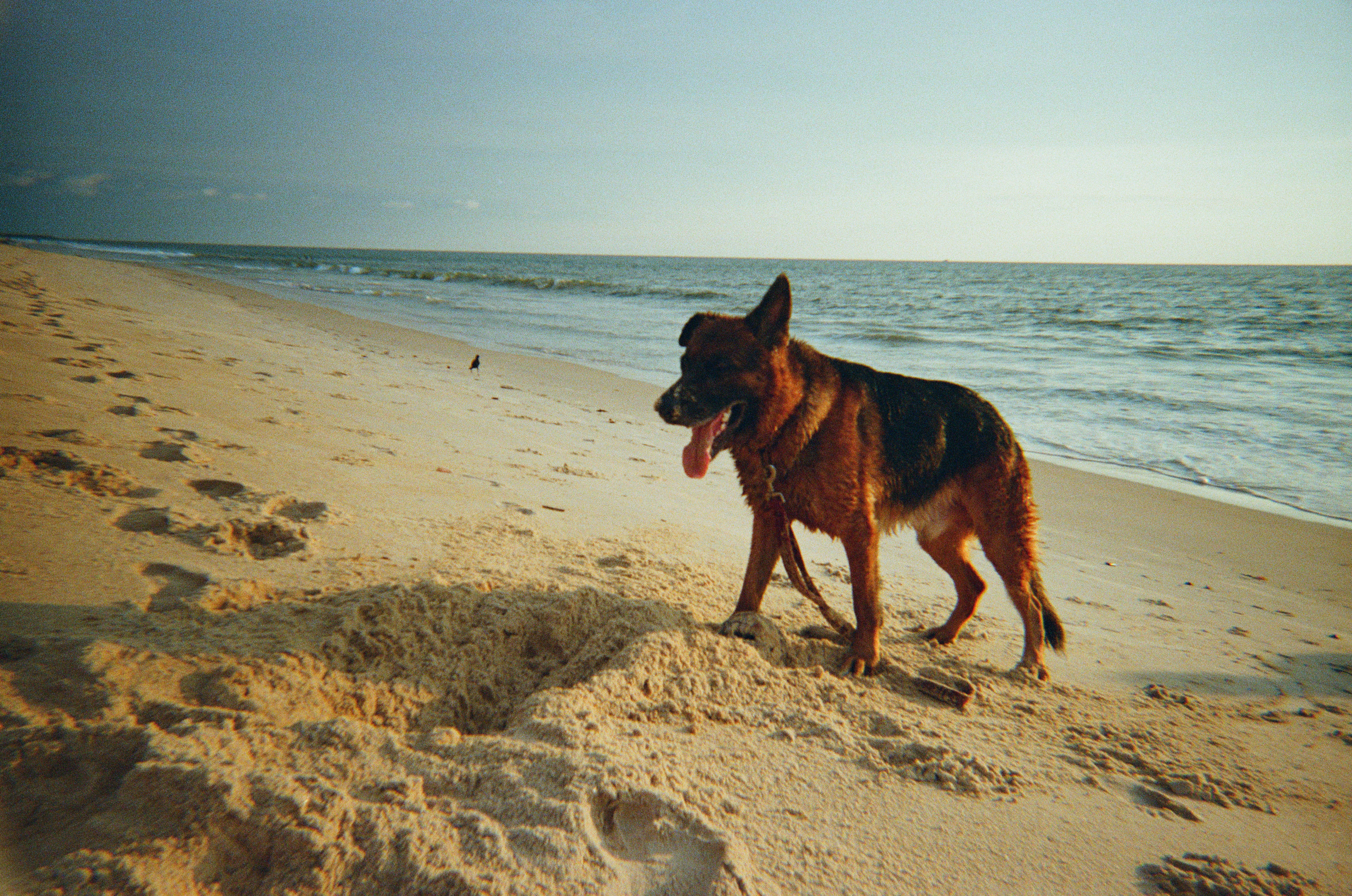 Photo by lookcloser_