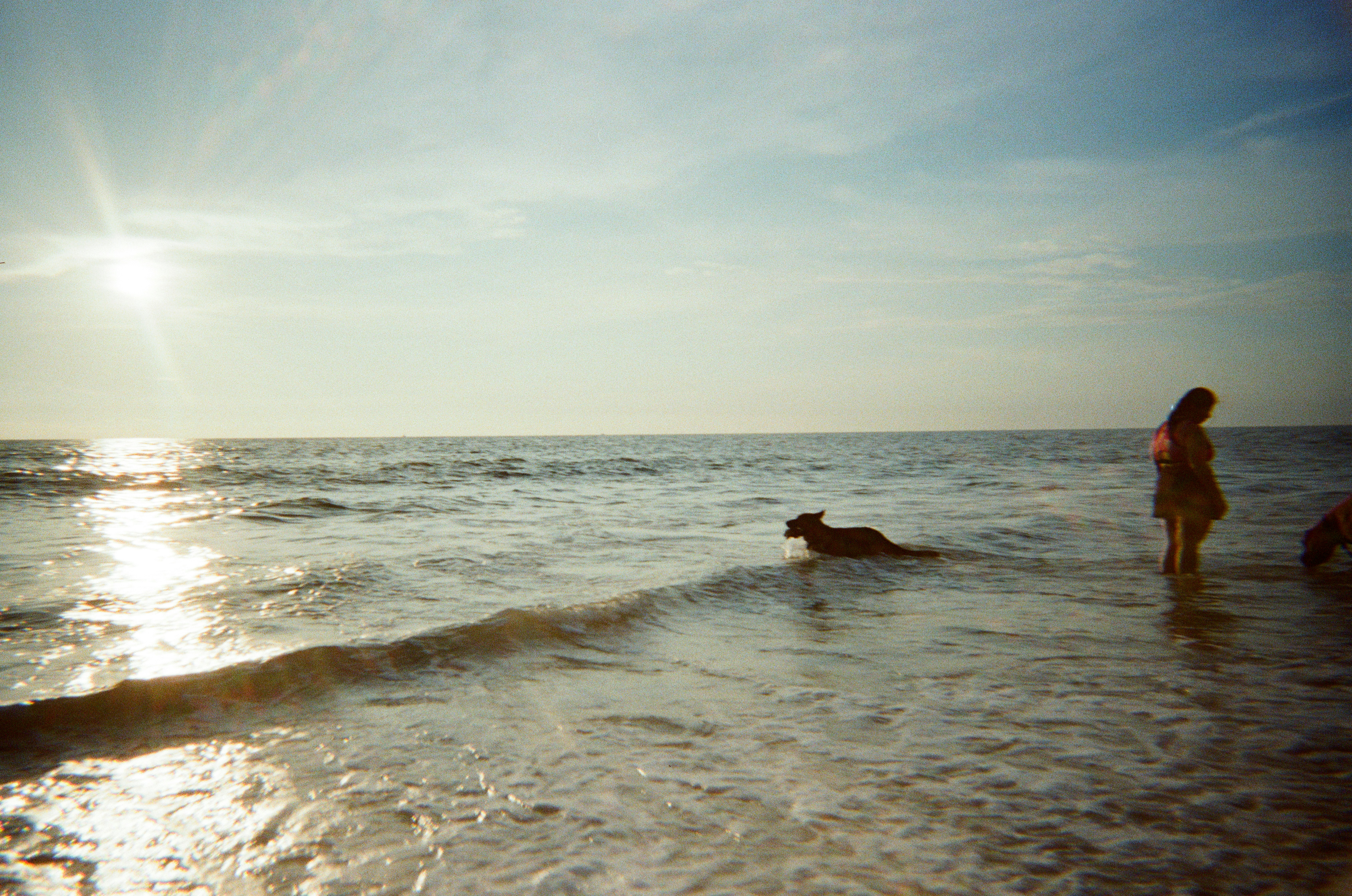 Photo by lookcloser_