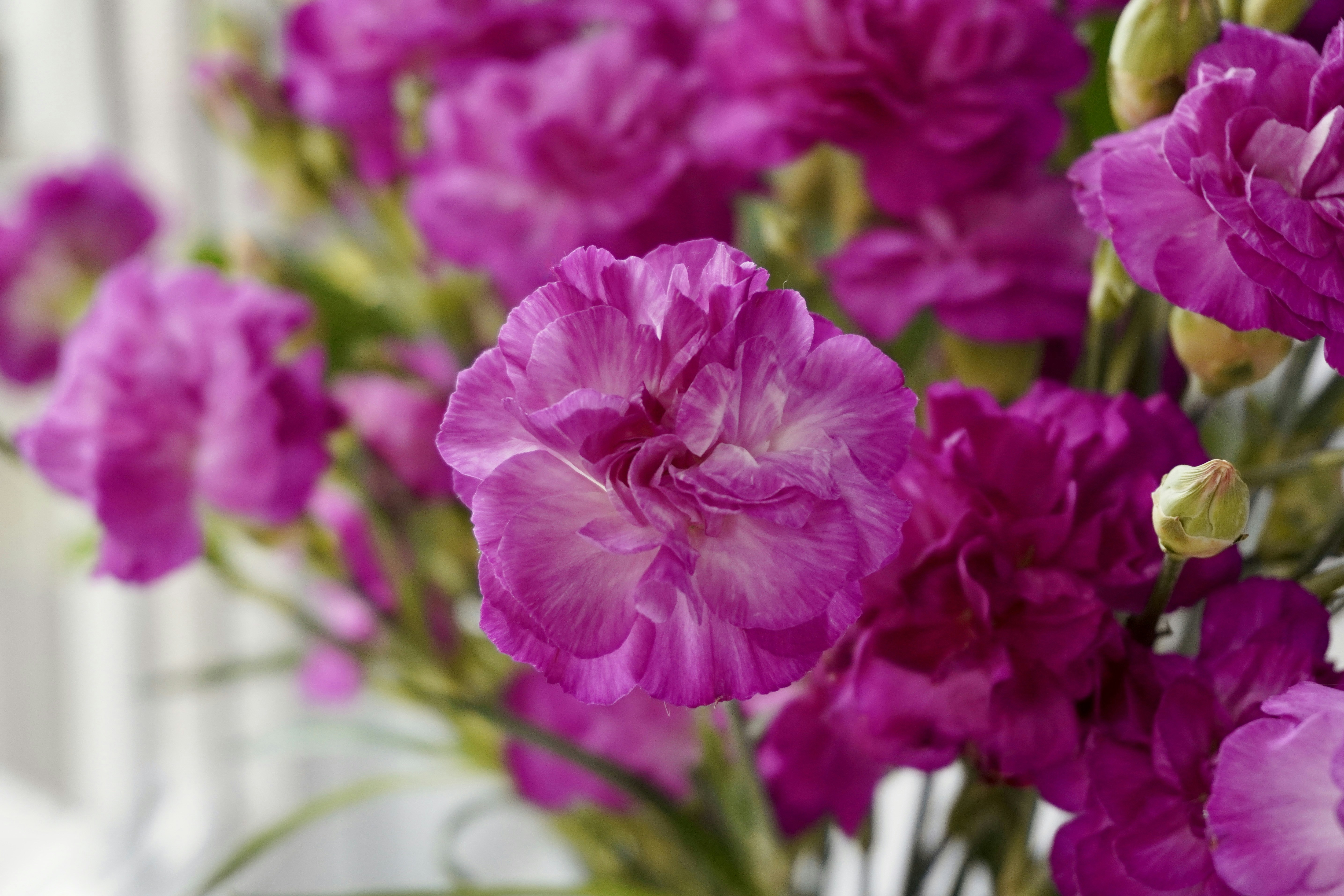 Photo by helen_zahrai