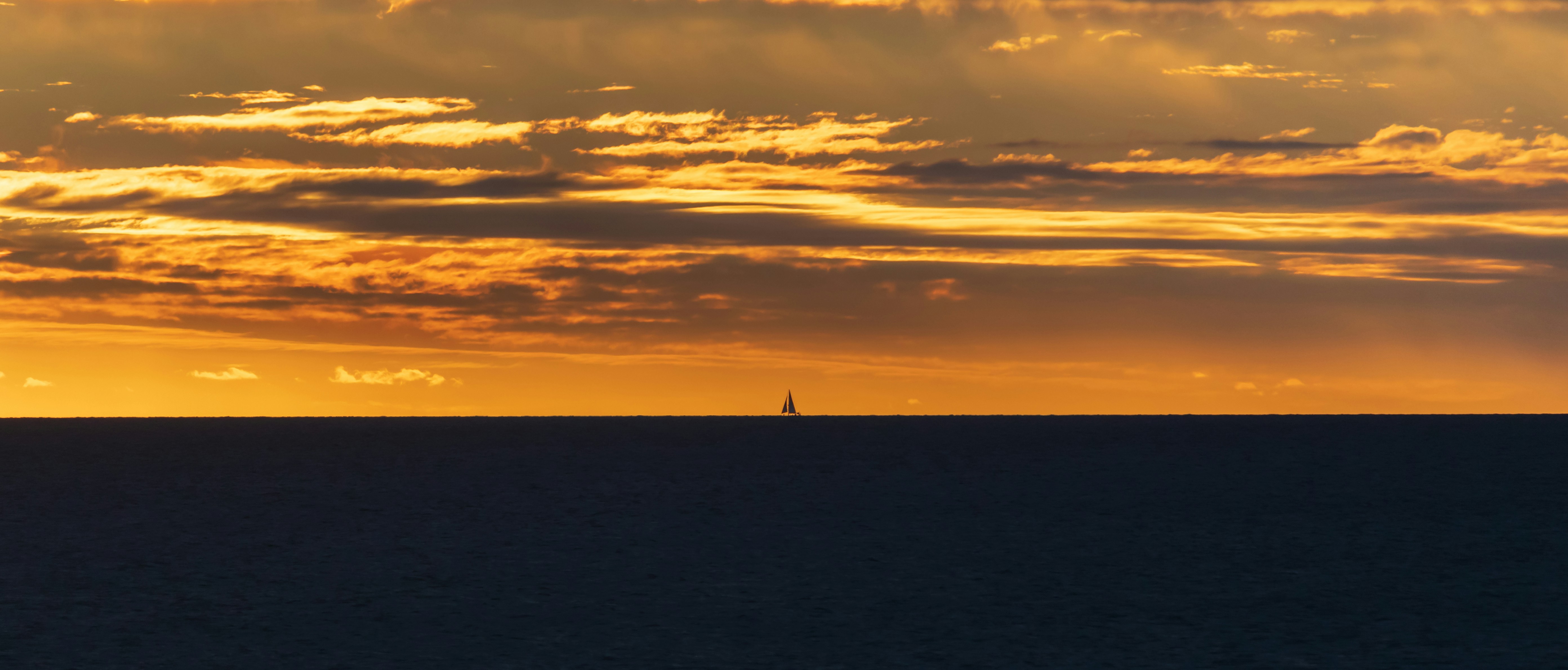 Photo by scientist505