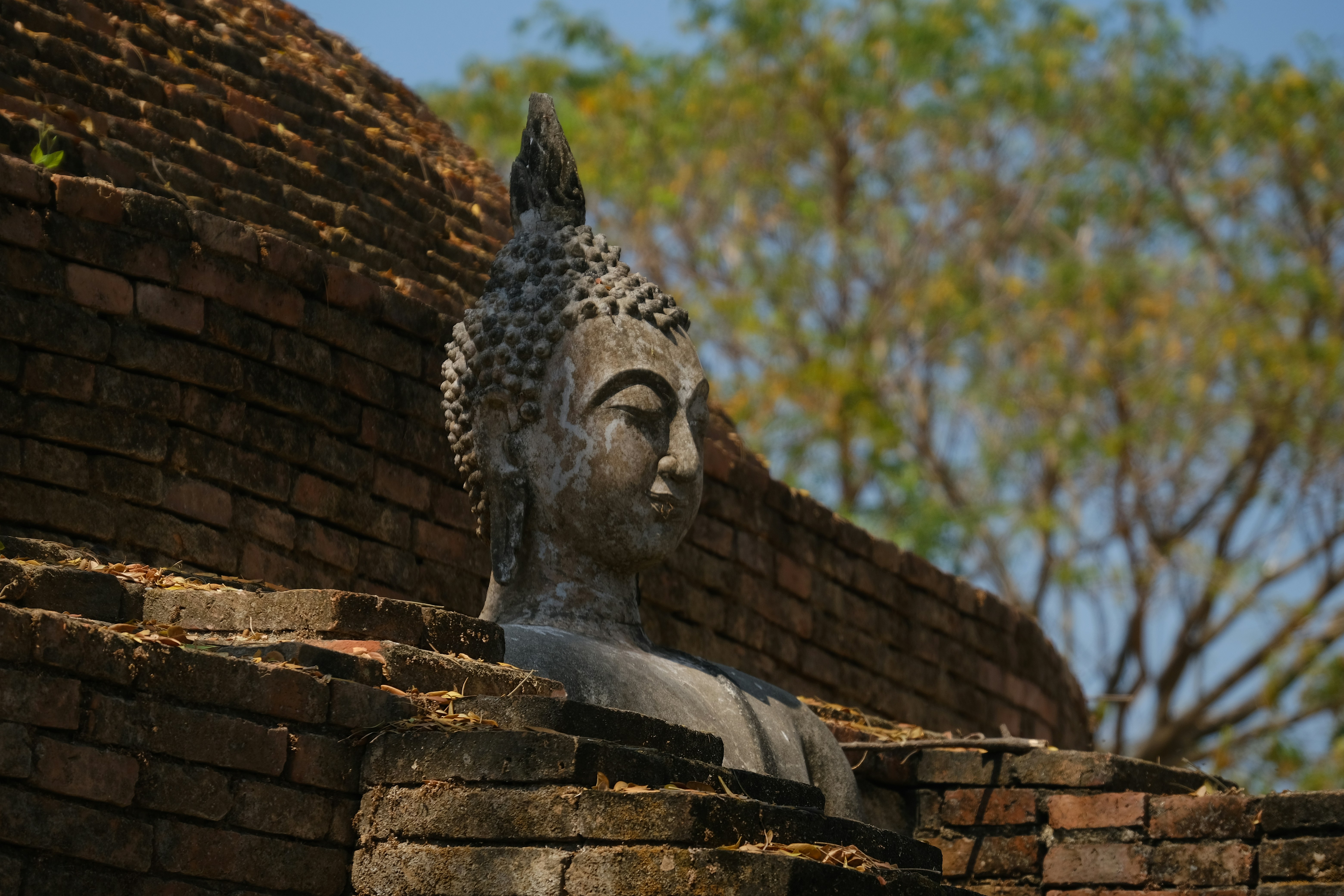 Photo by boudewijn_huysmans