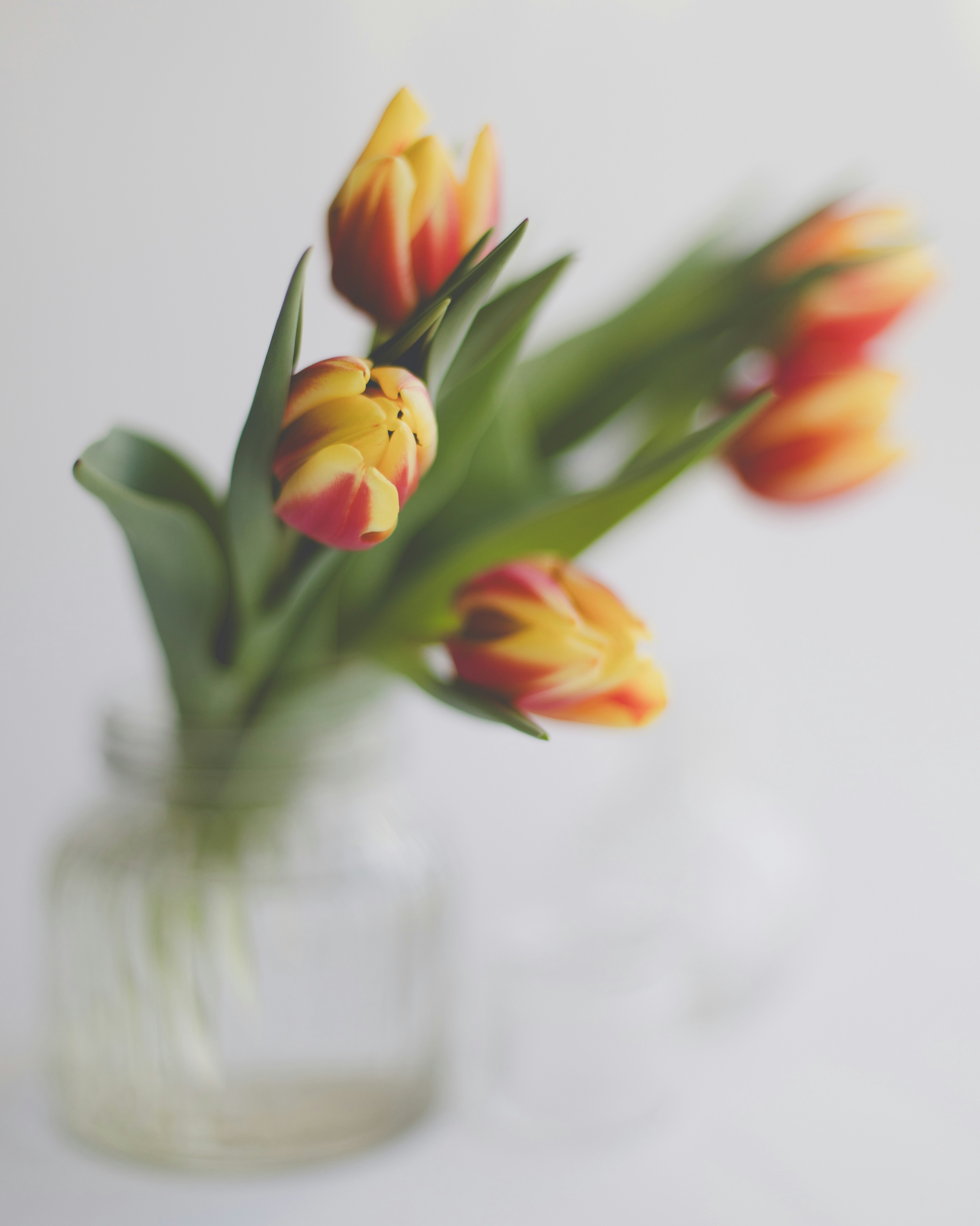 Photo by sixteenmilesout