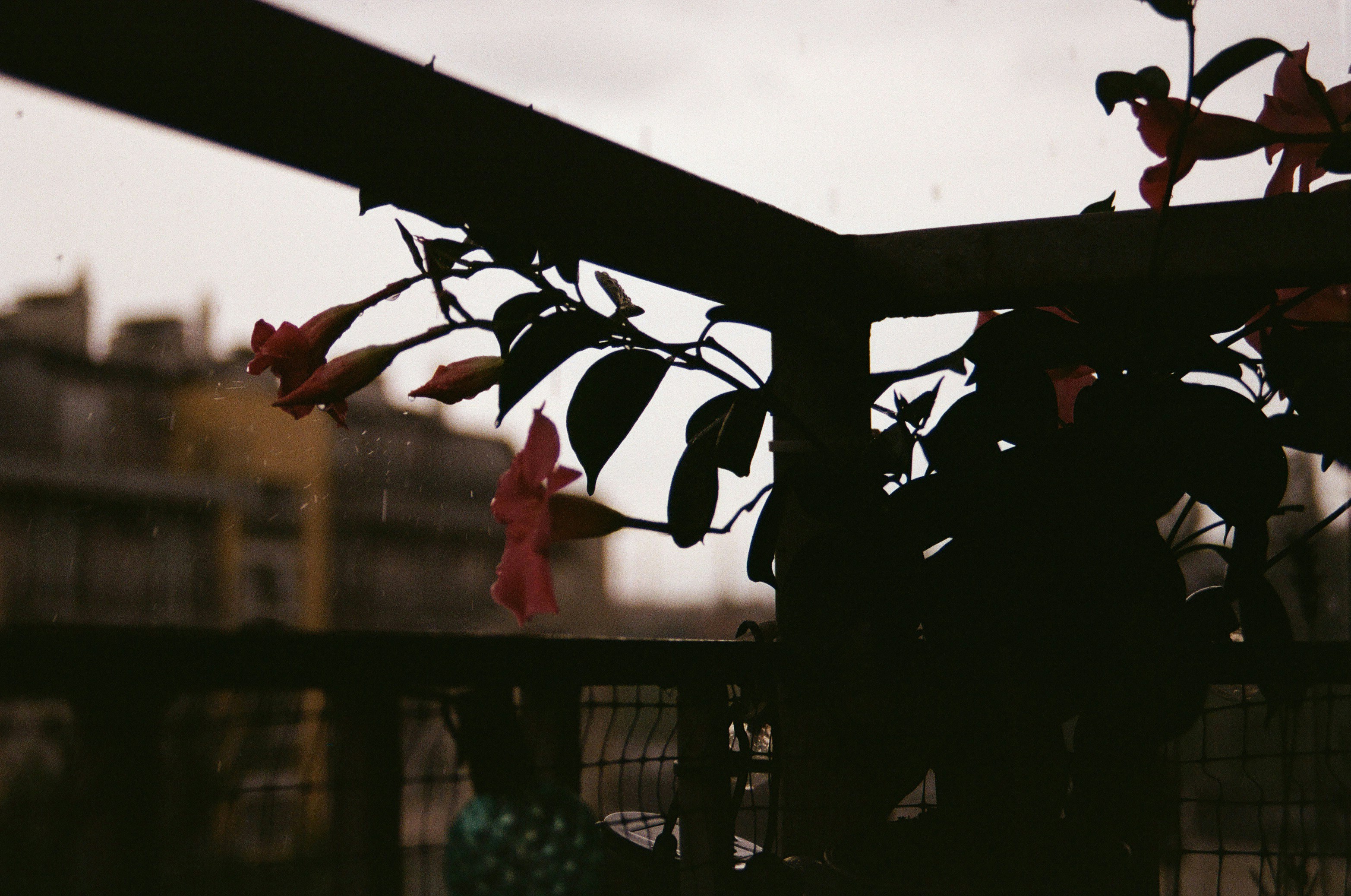 Photo by asbt