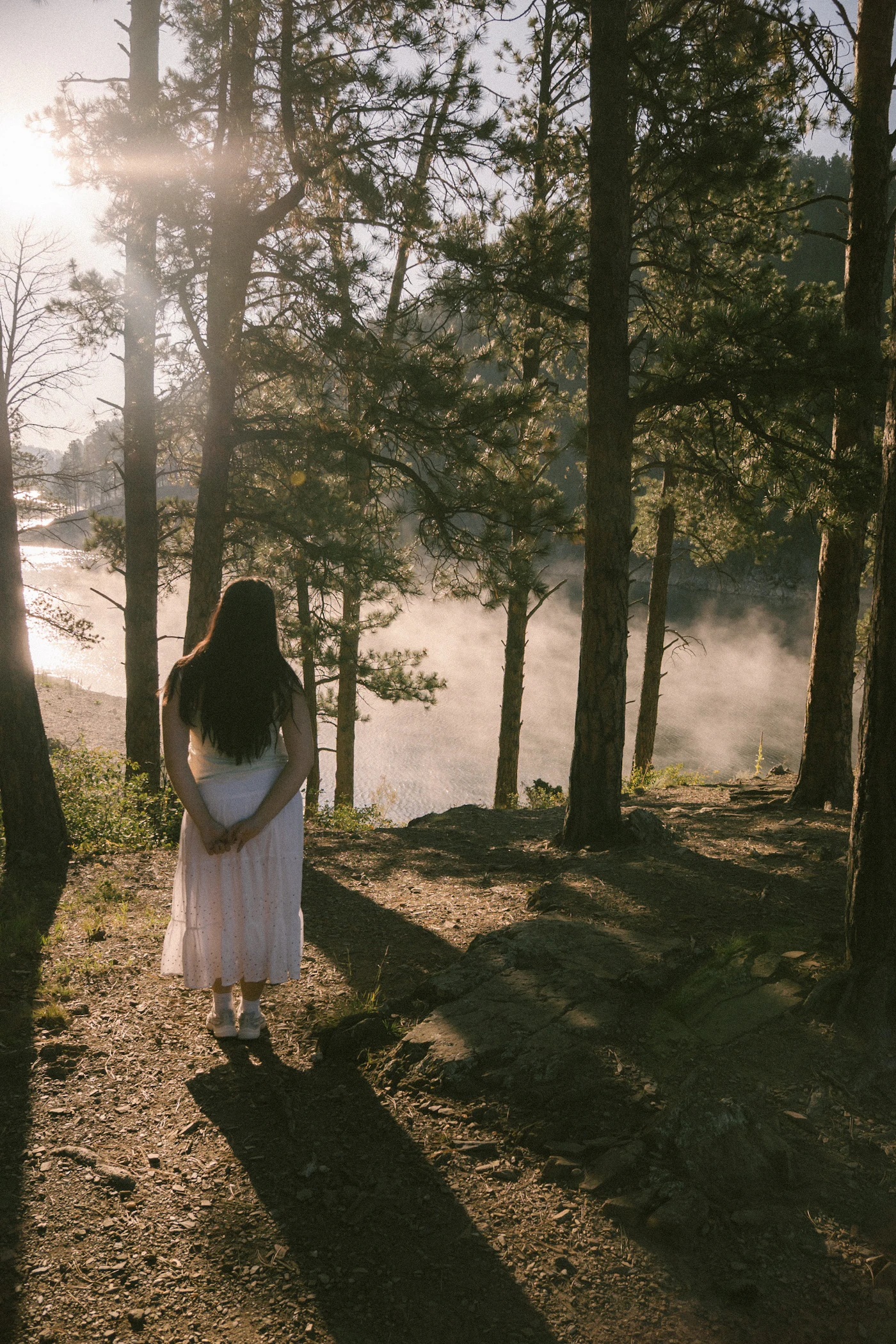 Stock illustration: person walking in a sunlit forest