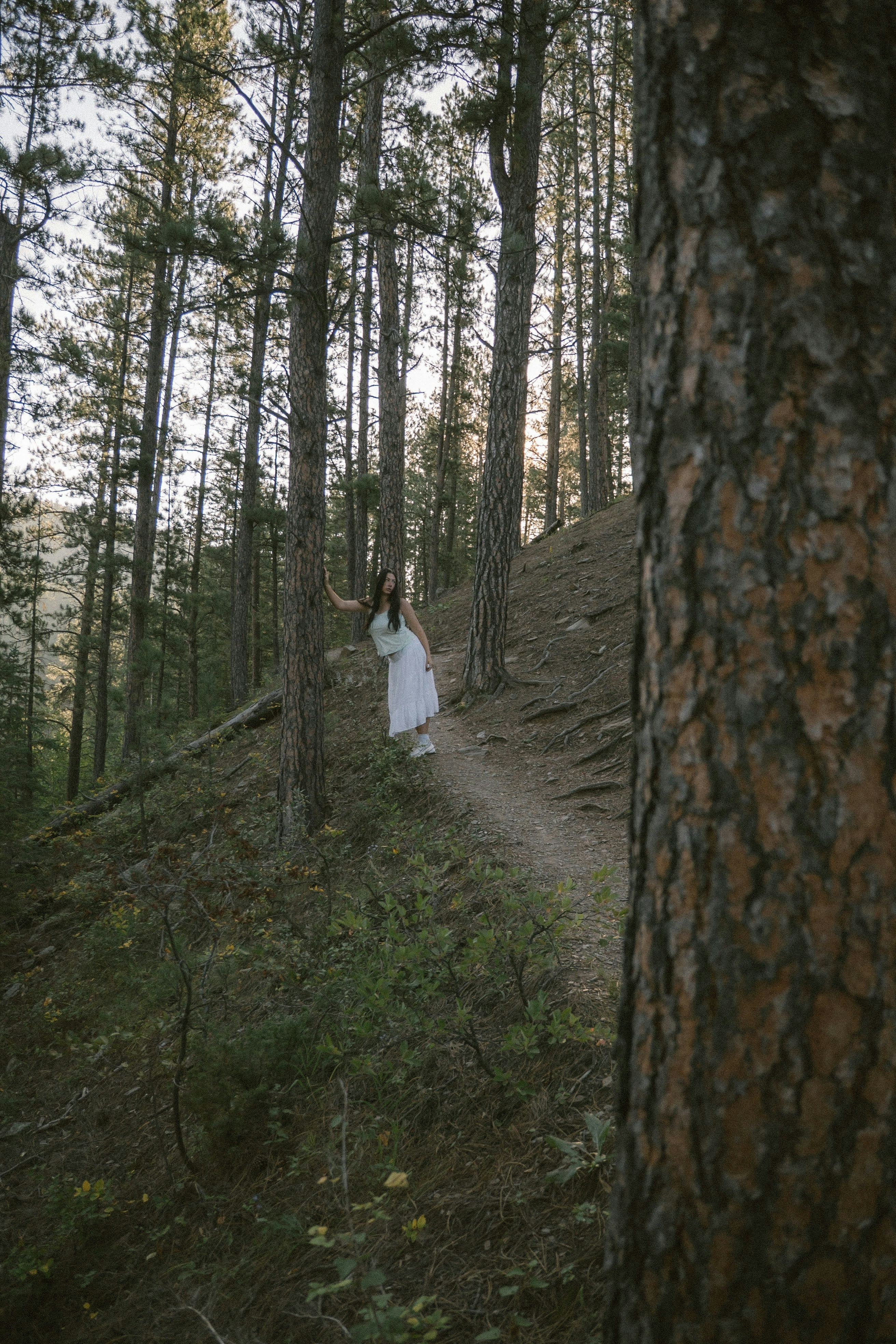 Photo by dylanleonard