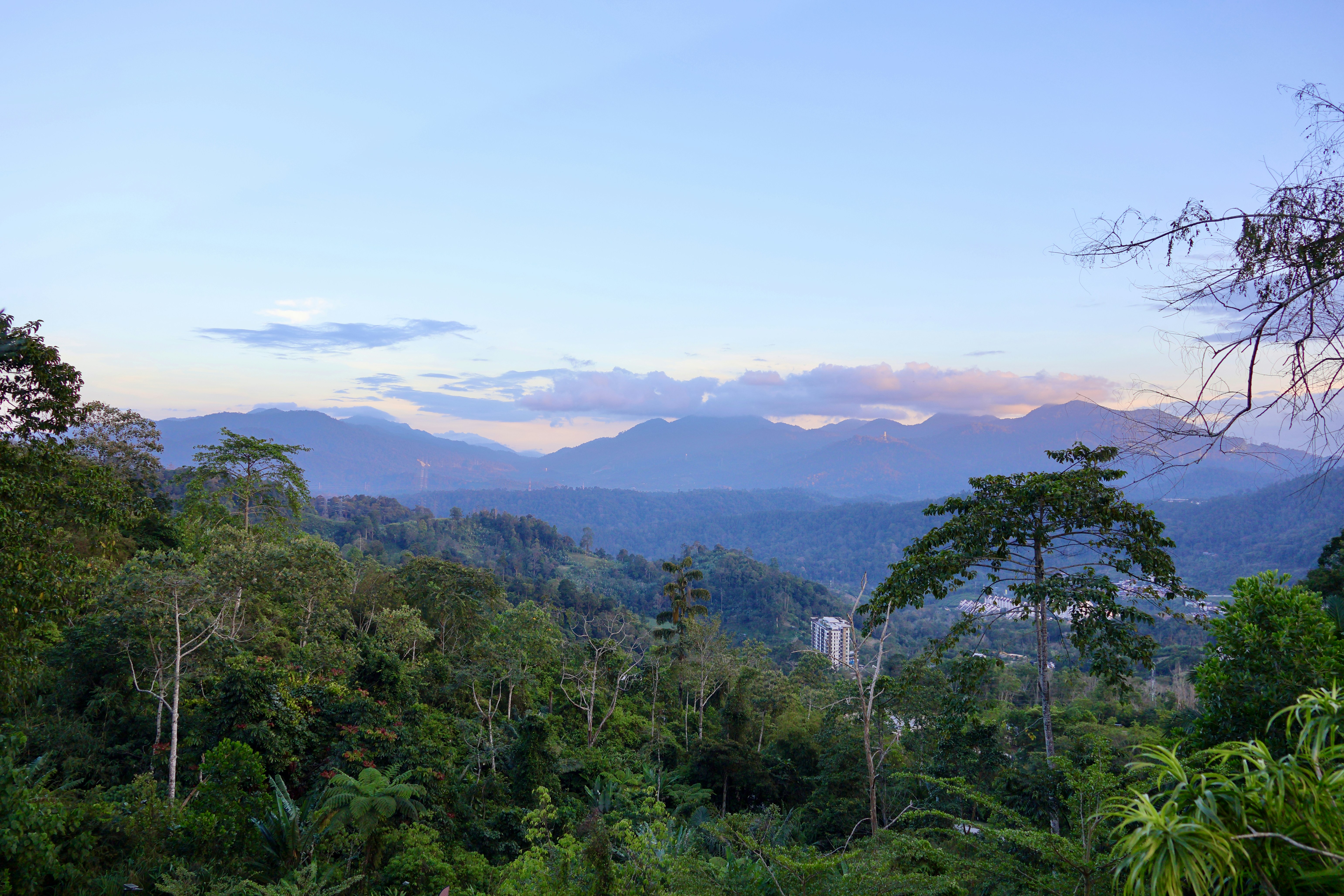 Kampung Ketari, Bentong Town
