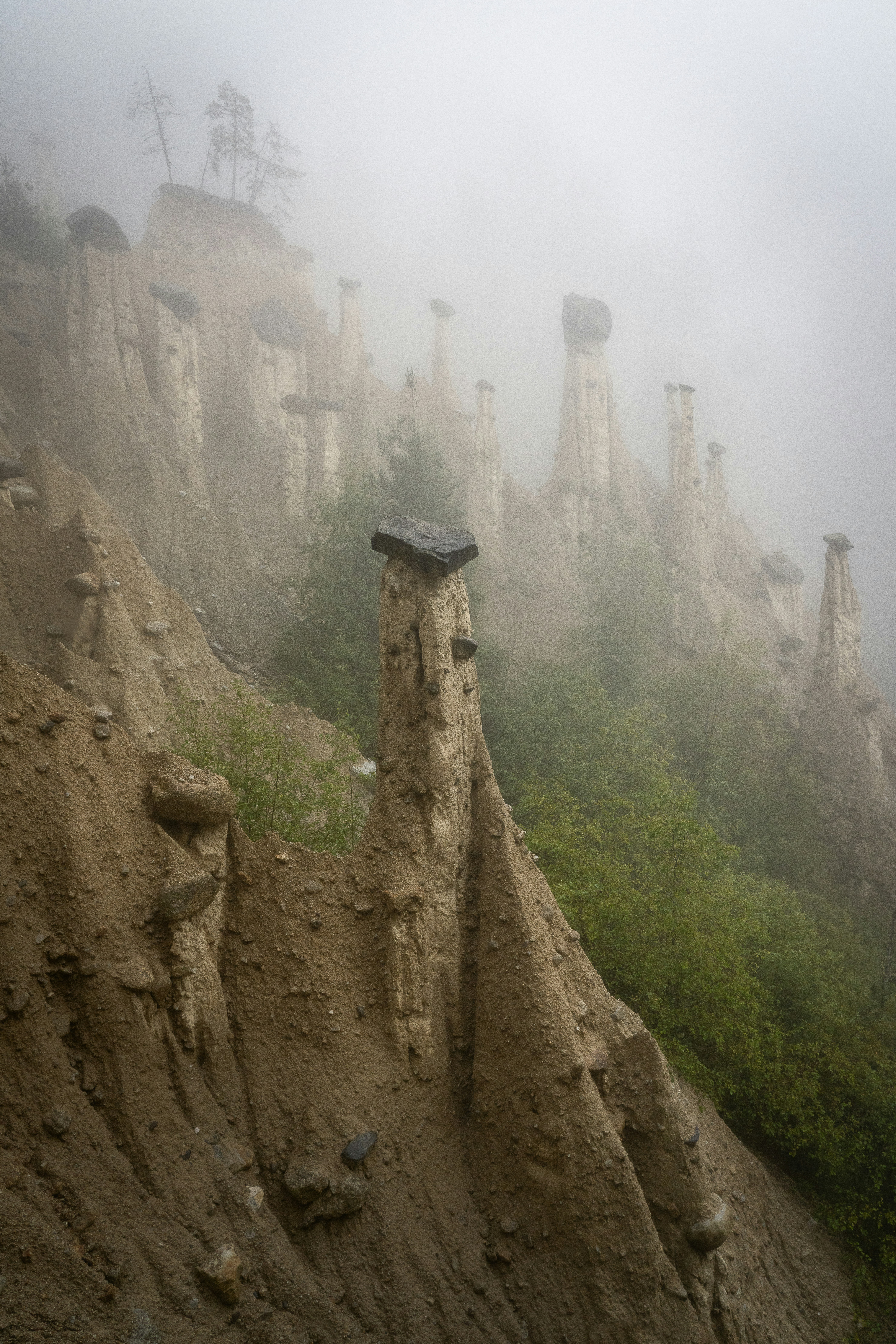 Eroded earth pillars covered in fog and greenery