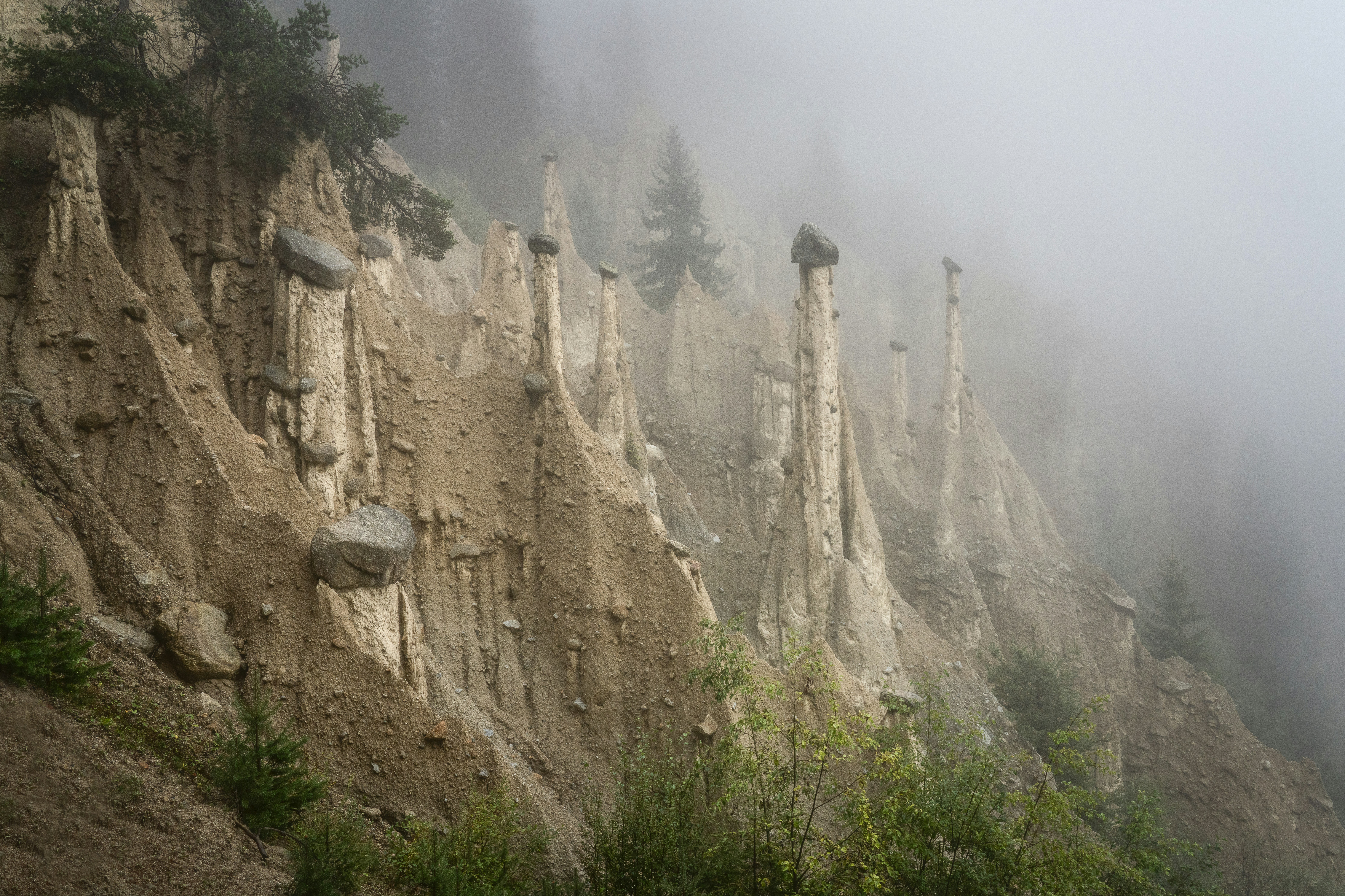 Eroded rock formations in a misty, forested landscape.