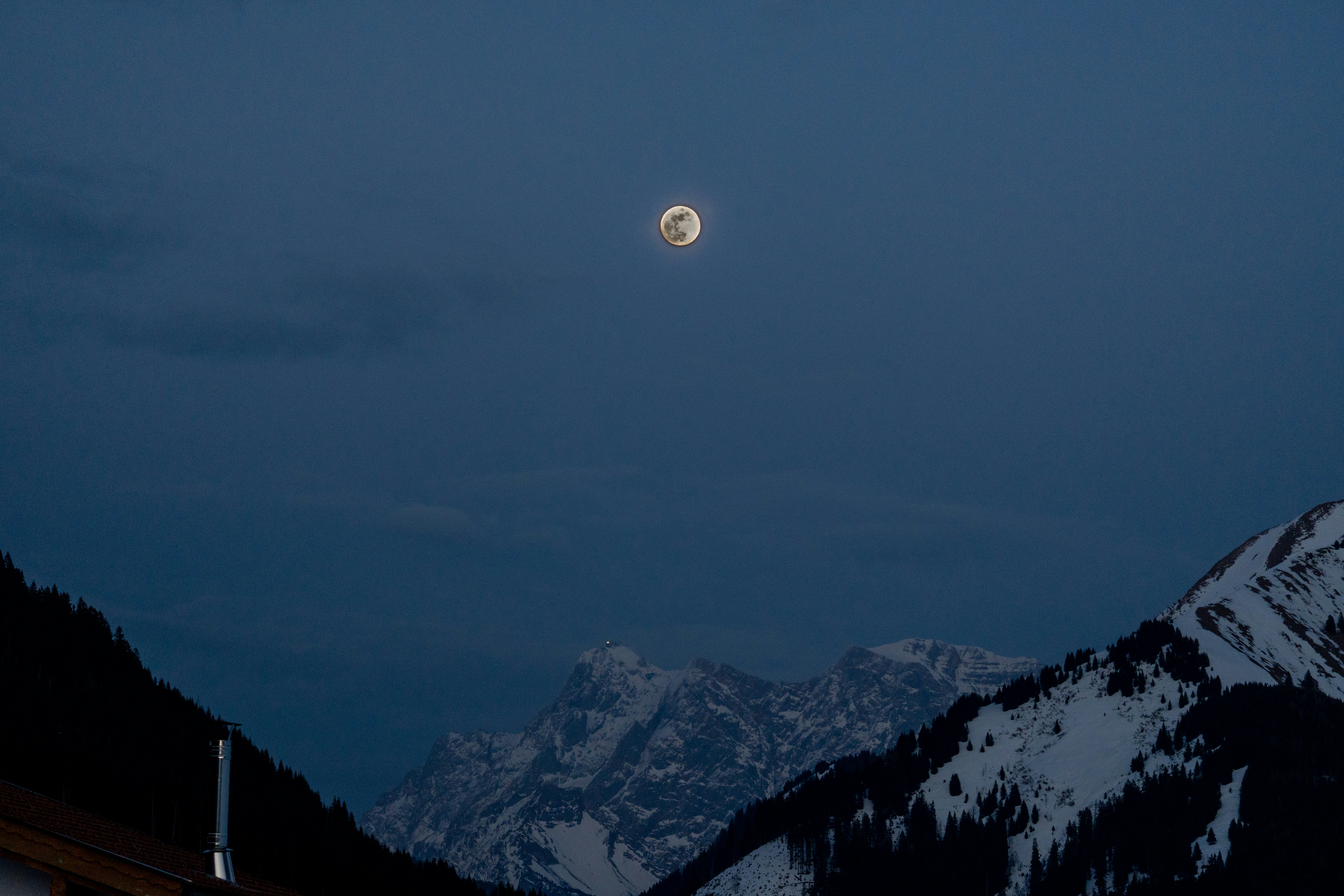 Photo by leonardodavinci779654