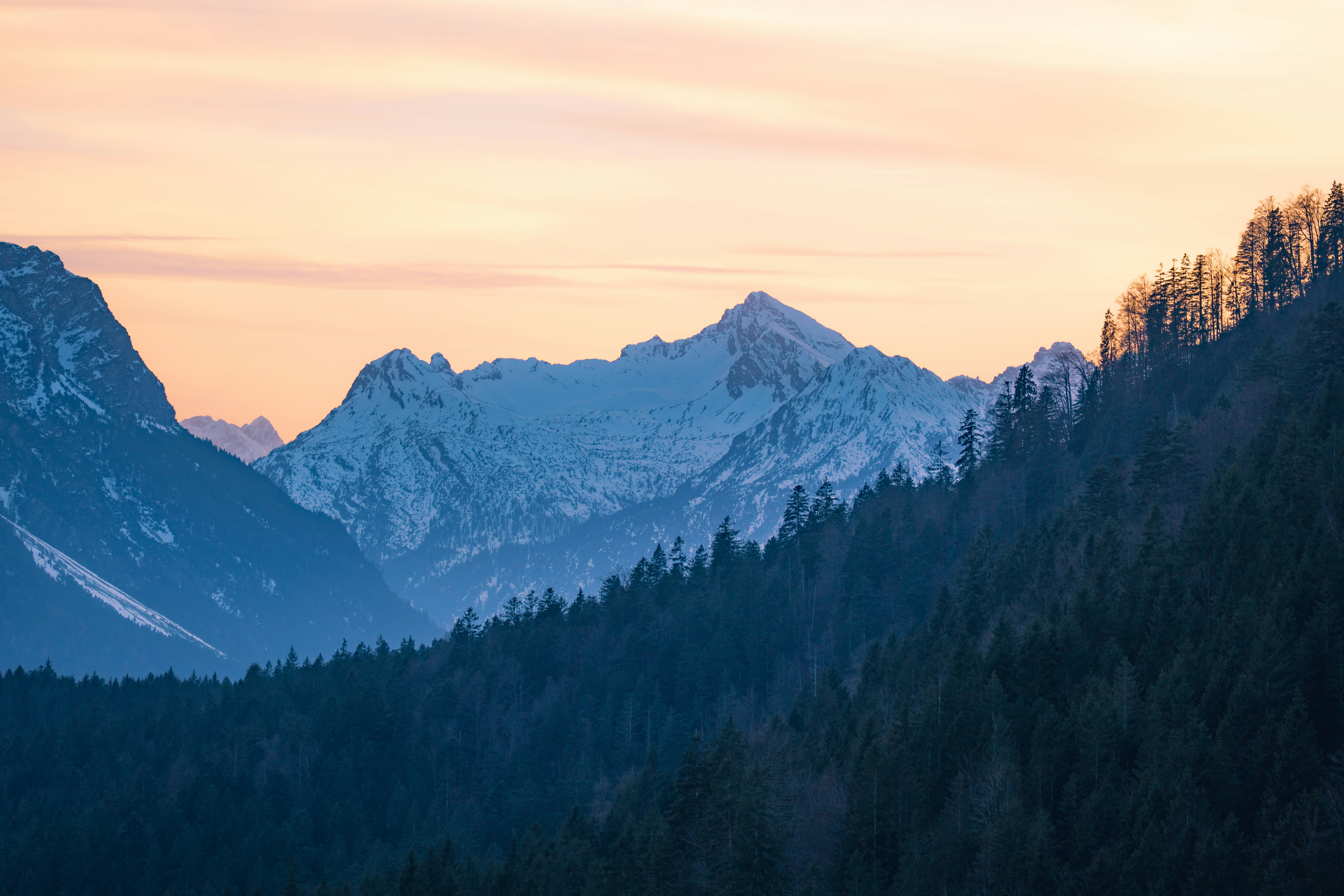 Photo by leonardodavinci779654