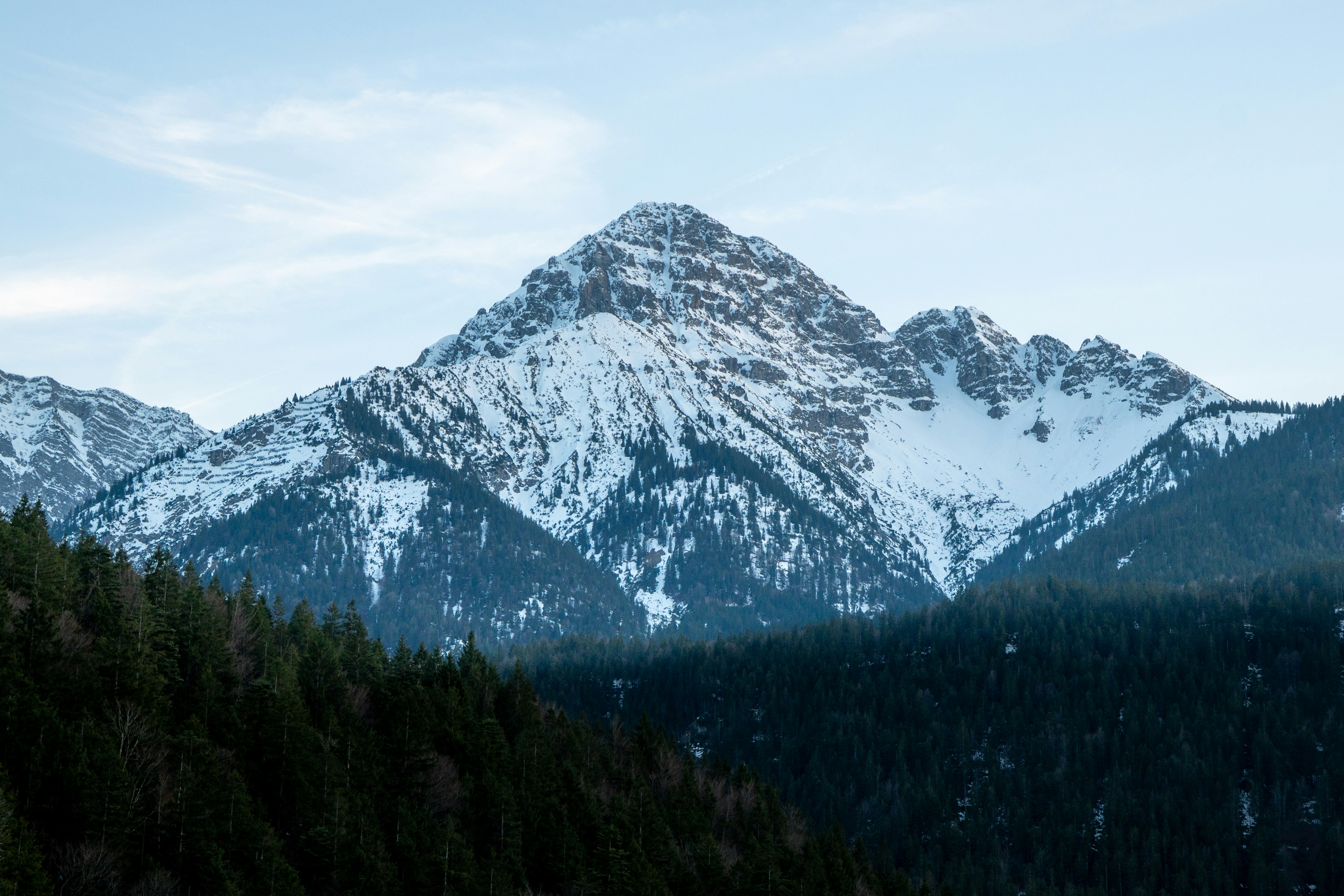 Photo by leonardodavinci779654