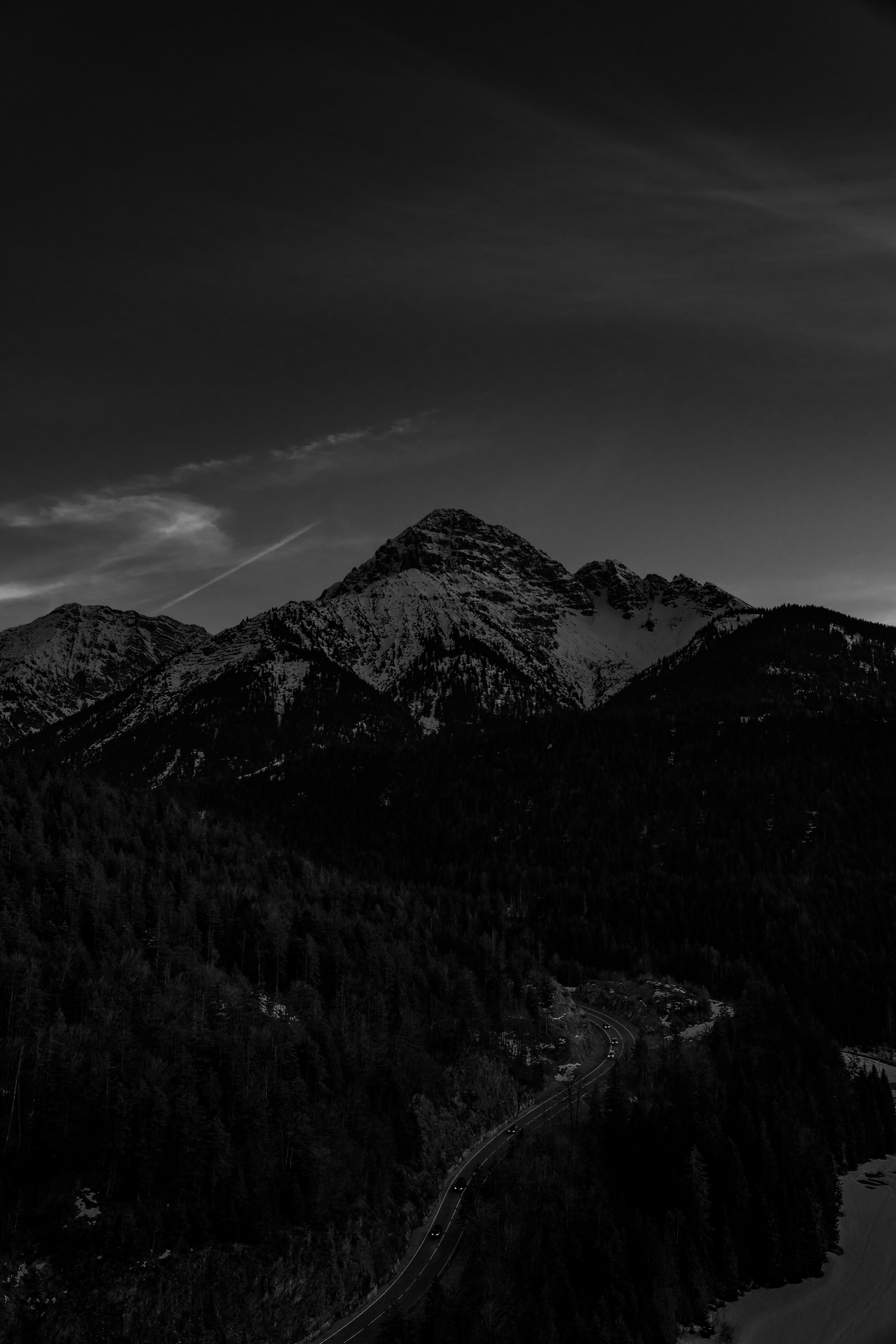 Photo by leonardodavinci779654