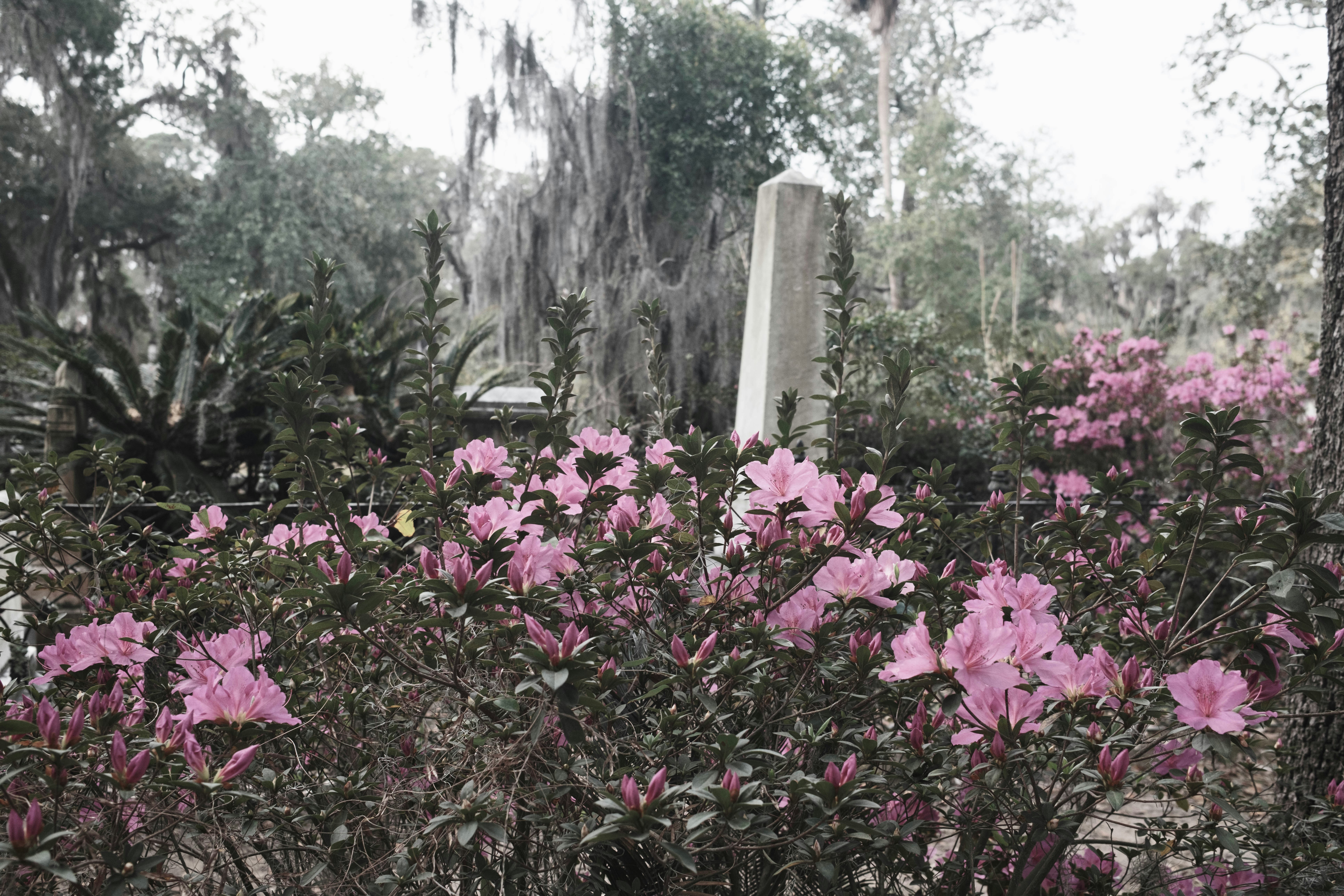 A Living Memorial