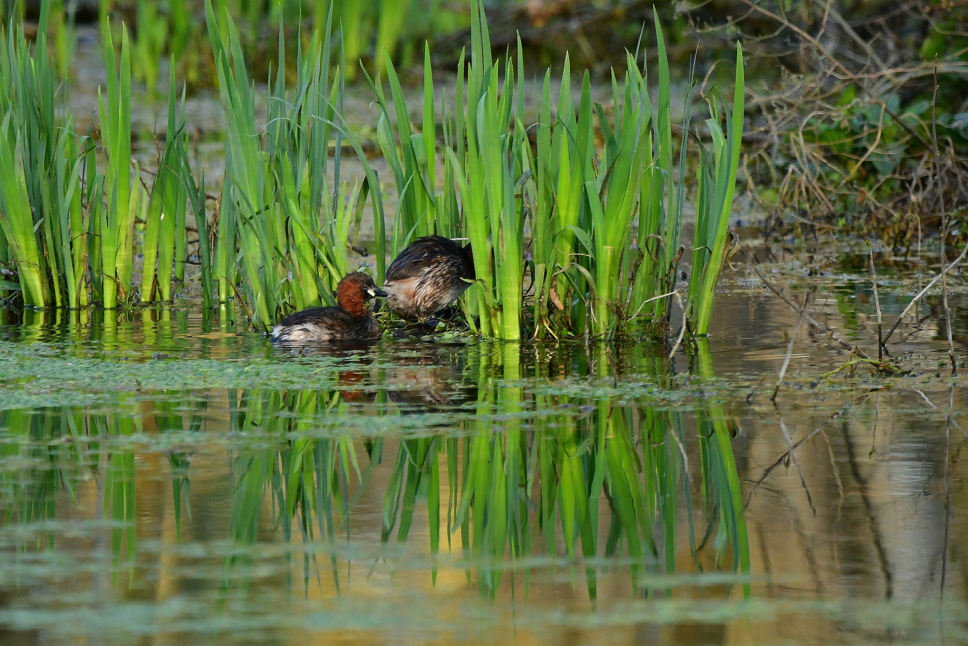 Photo by geraldine86170