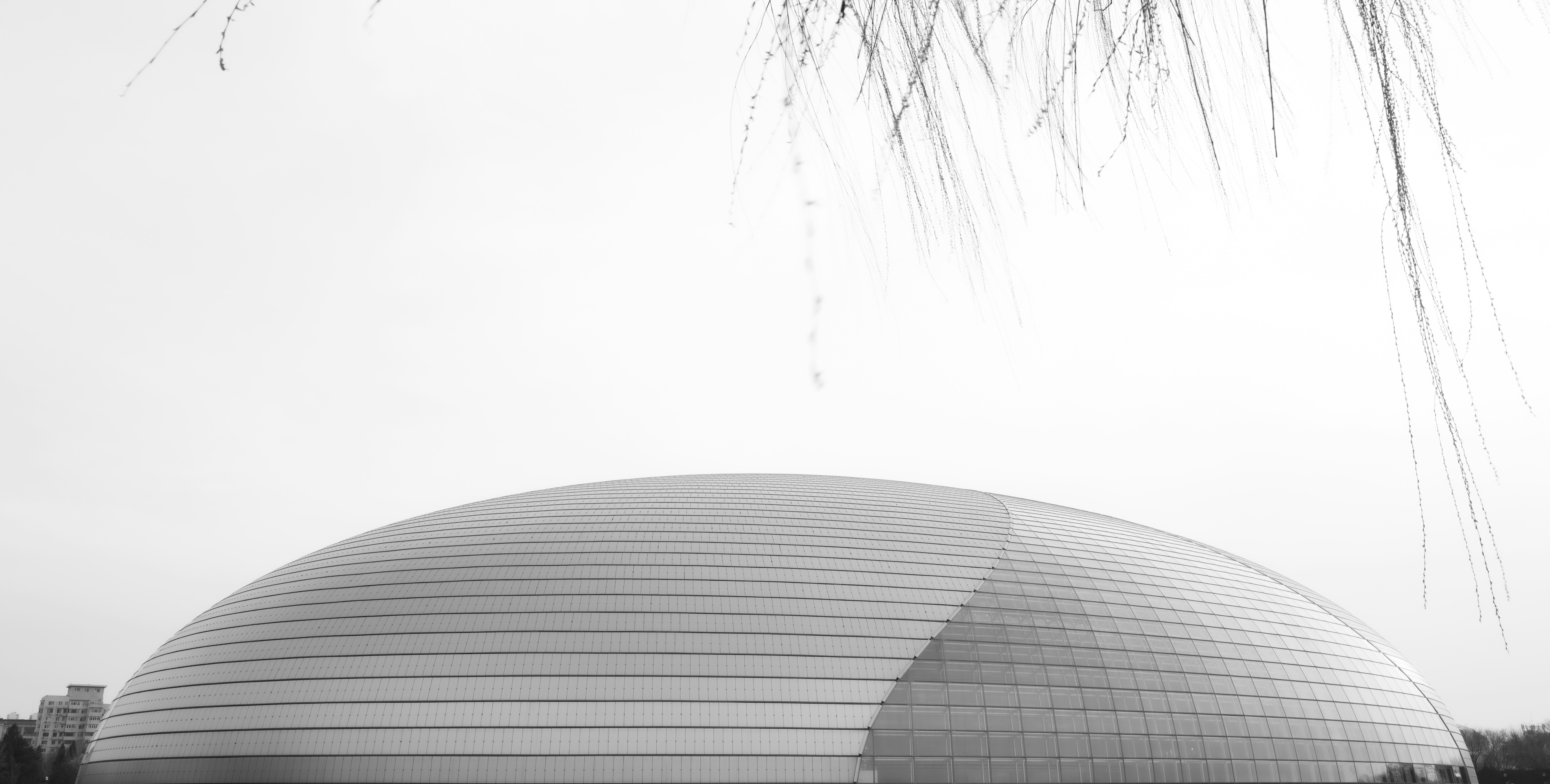 머리 위 잎사귀가 있는 현대식 돔형 건물