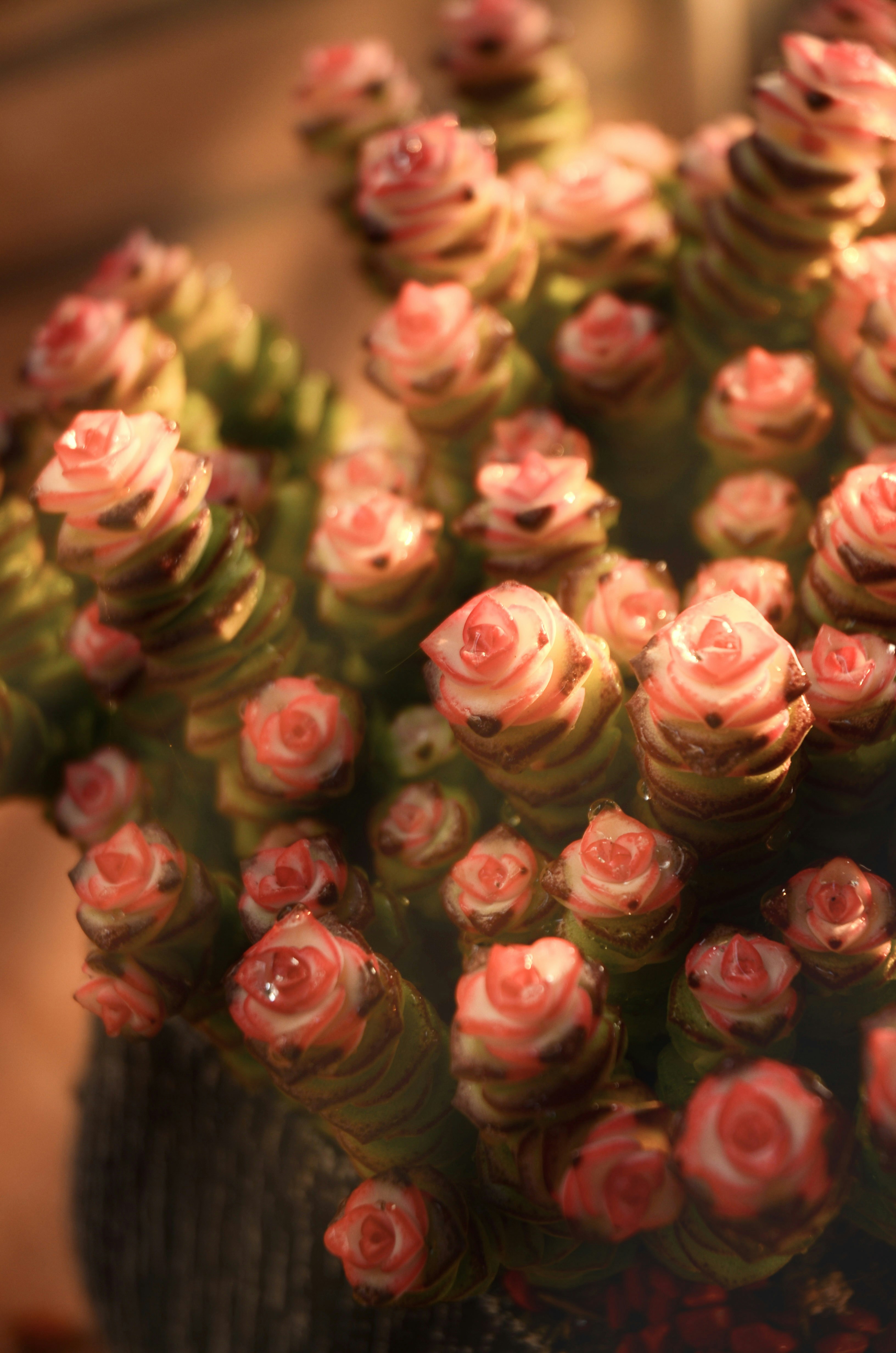 home maintenance tips