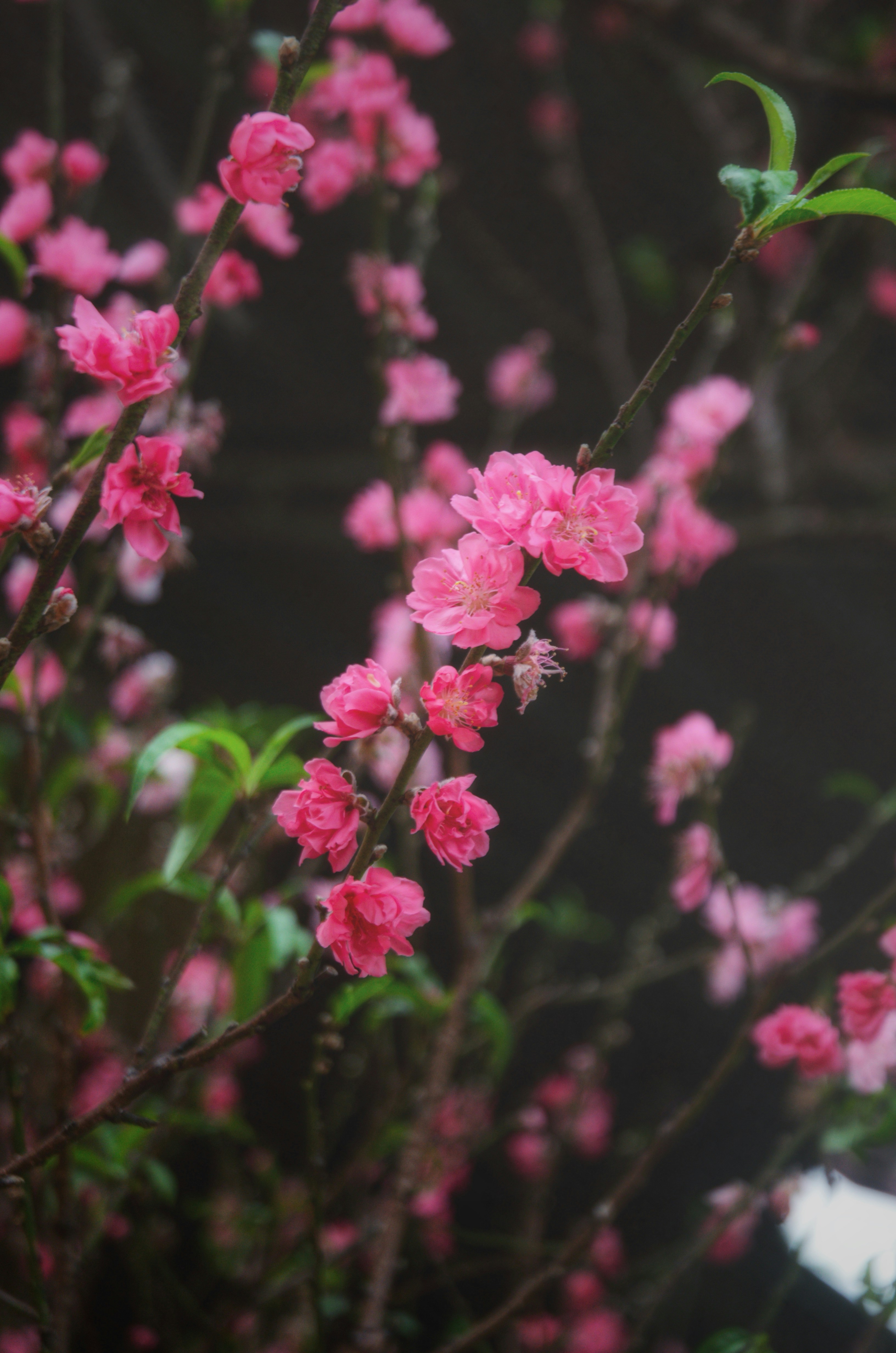 Photo by hngnl