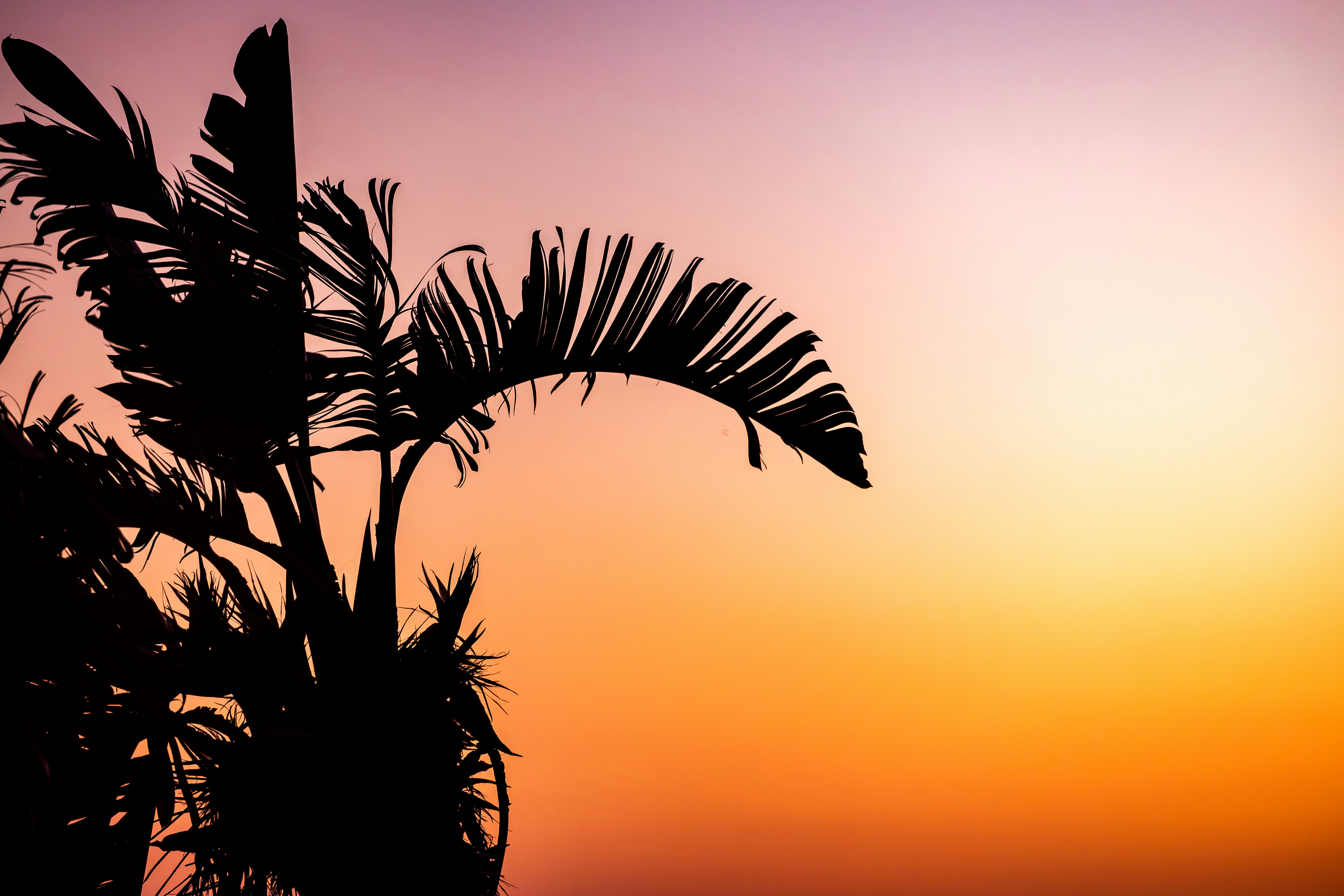 Photo by luzentefotografie