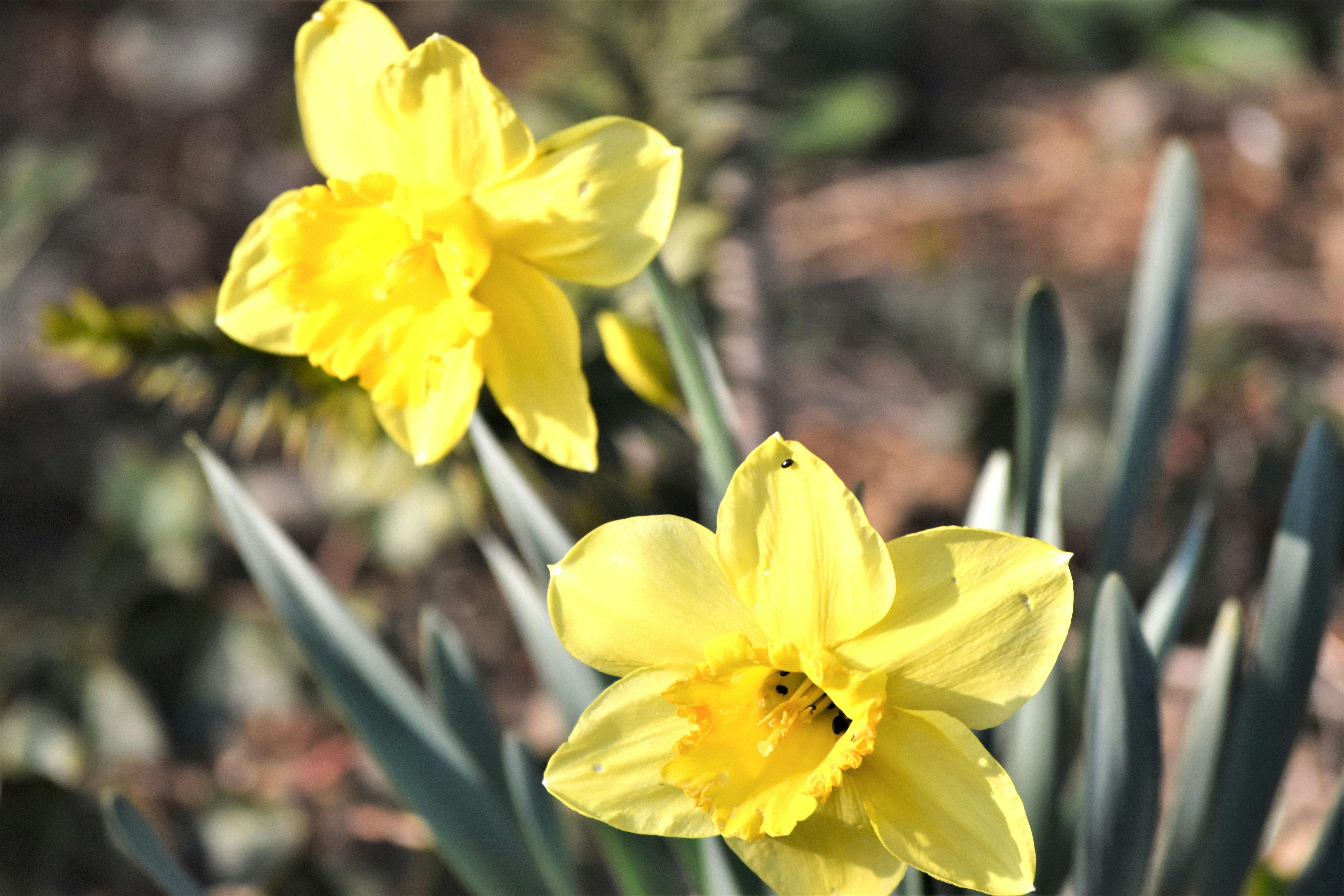 Photo by danielelarosa